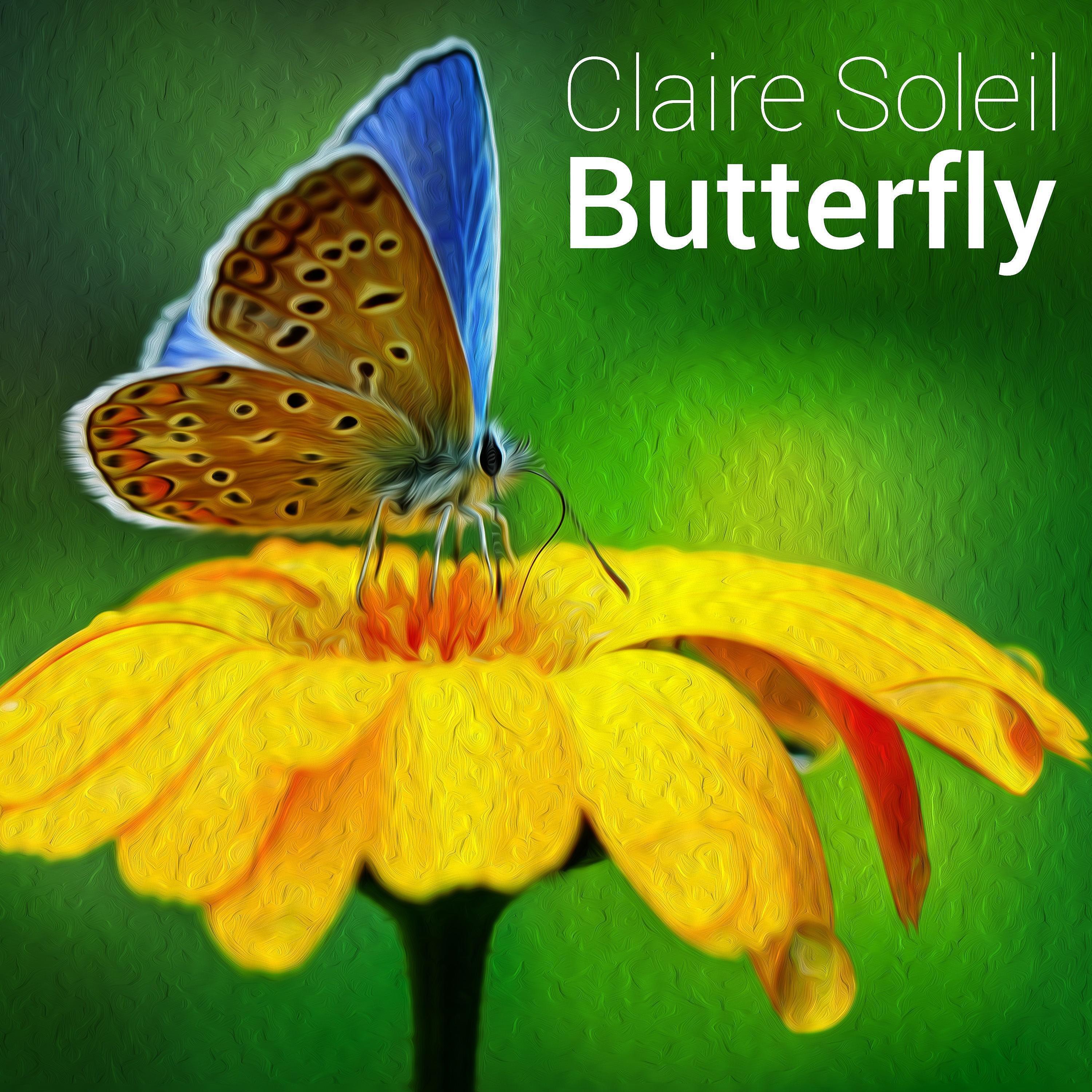 Релиз Butterfly