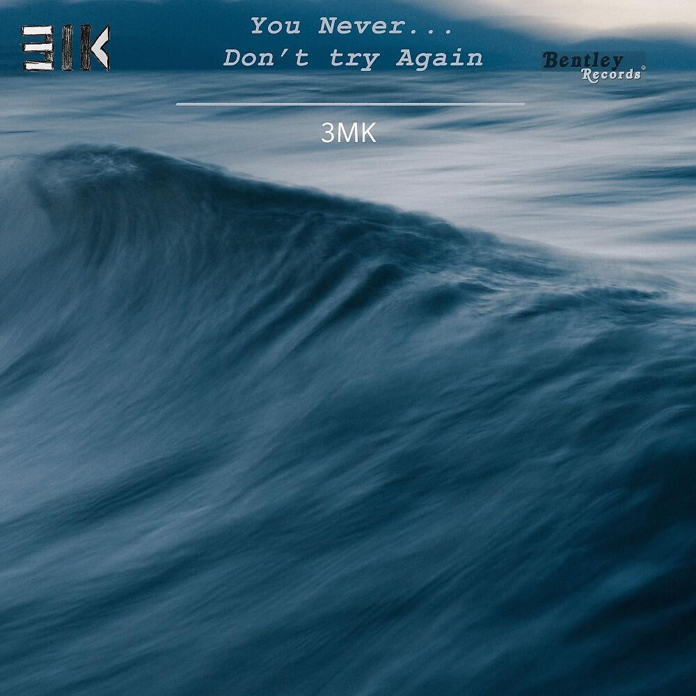 Релиз You Never...Don't Try Again