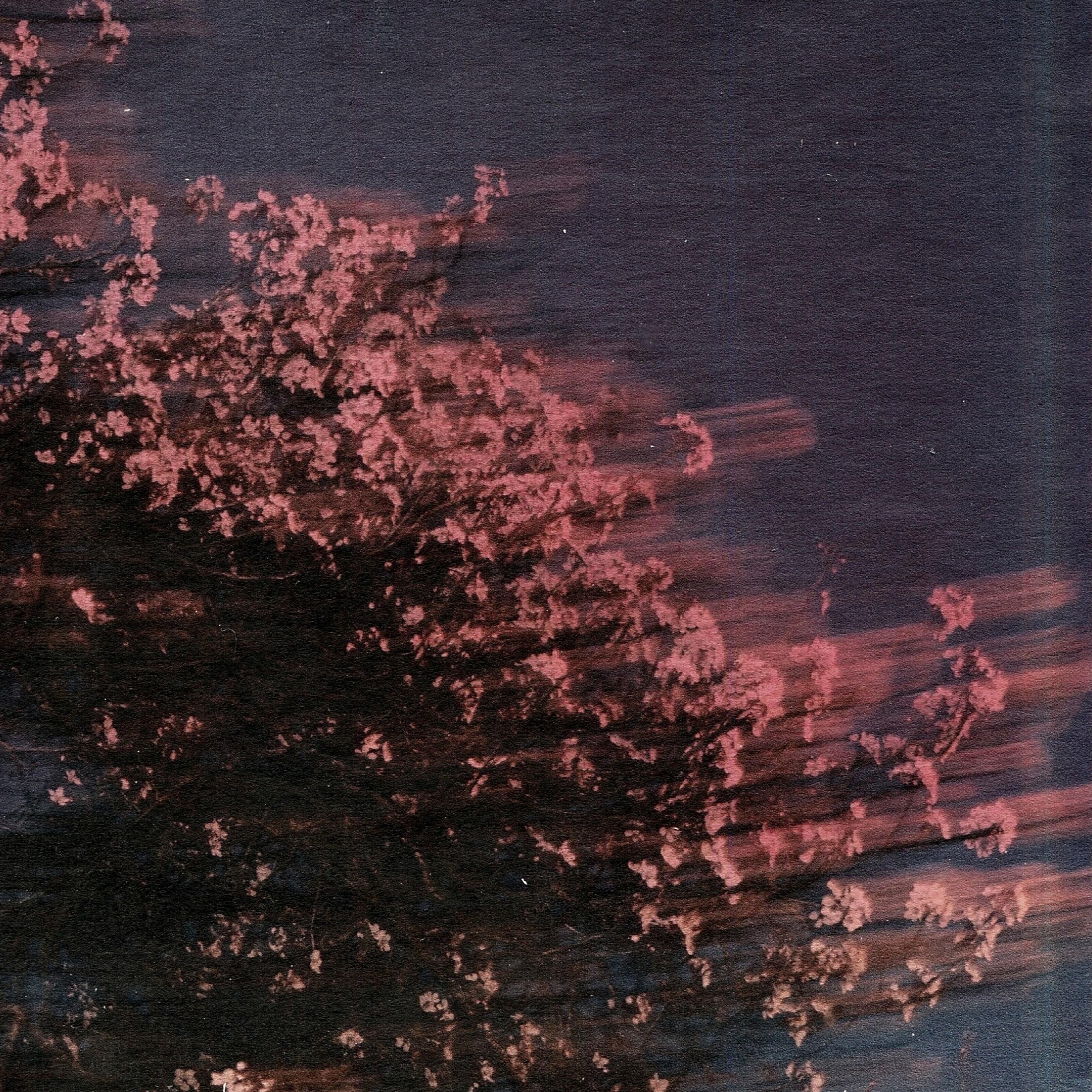 Релиз Night Walk