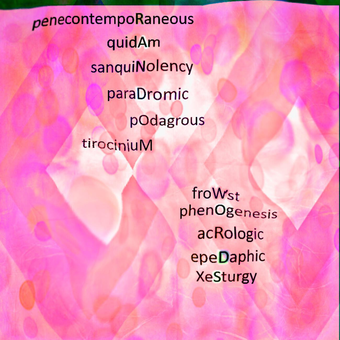 Computer Poetry Reading