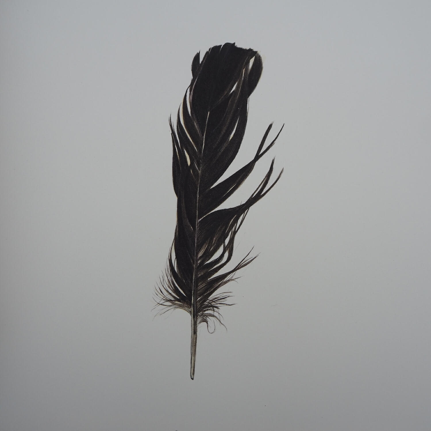 Héloïse Tunstall-Behrens