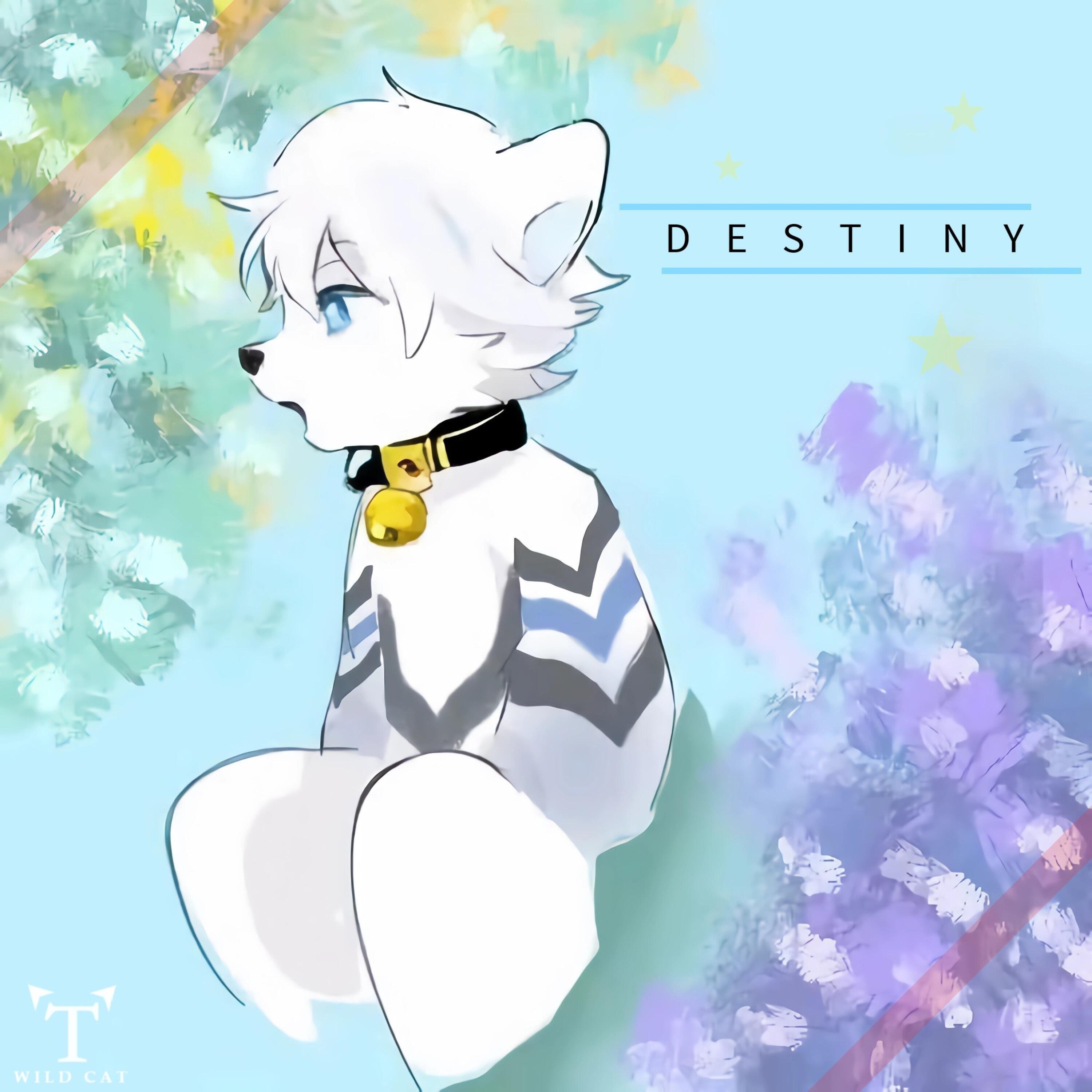 Релиз Destiny