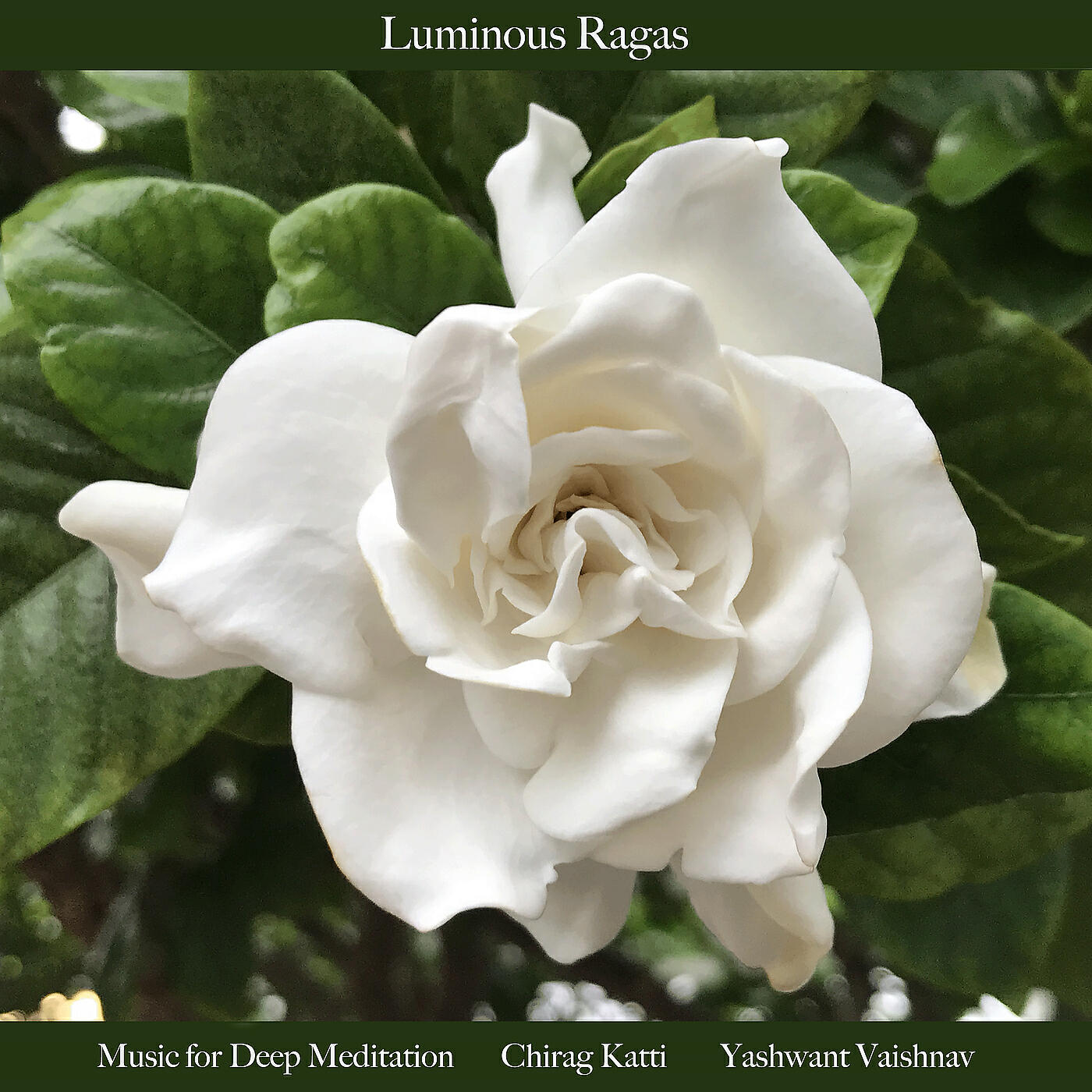 Релиз Luminous Ragas