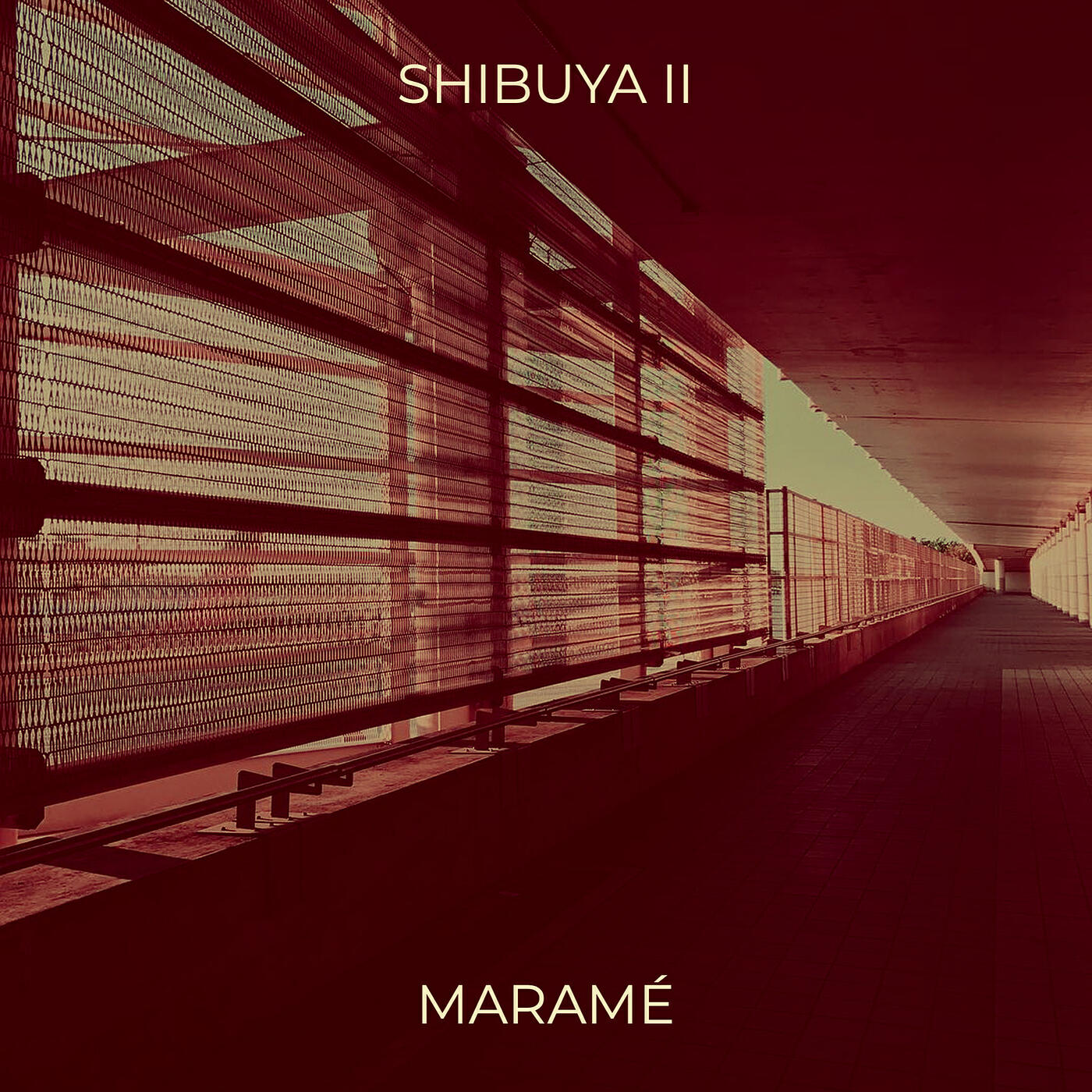 Релиз SHIBUYA II