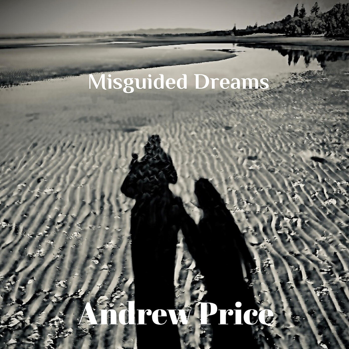 Релиз Misguided Dreams
