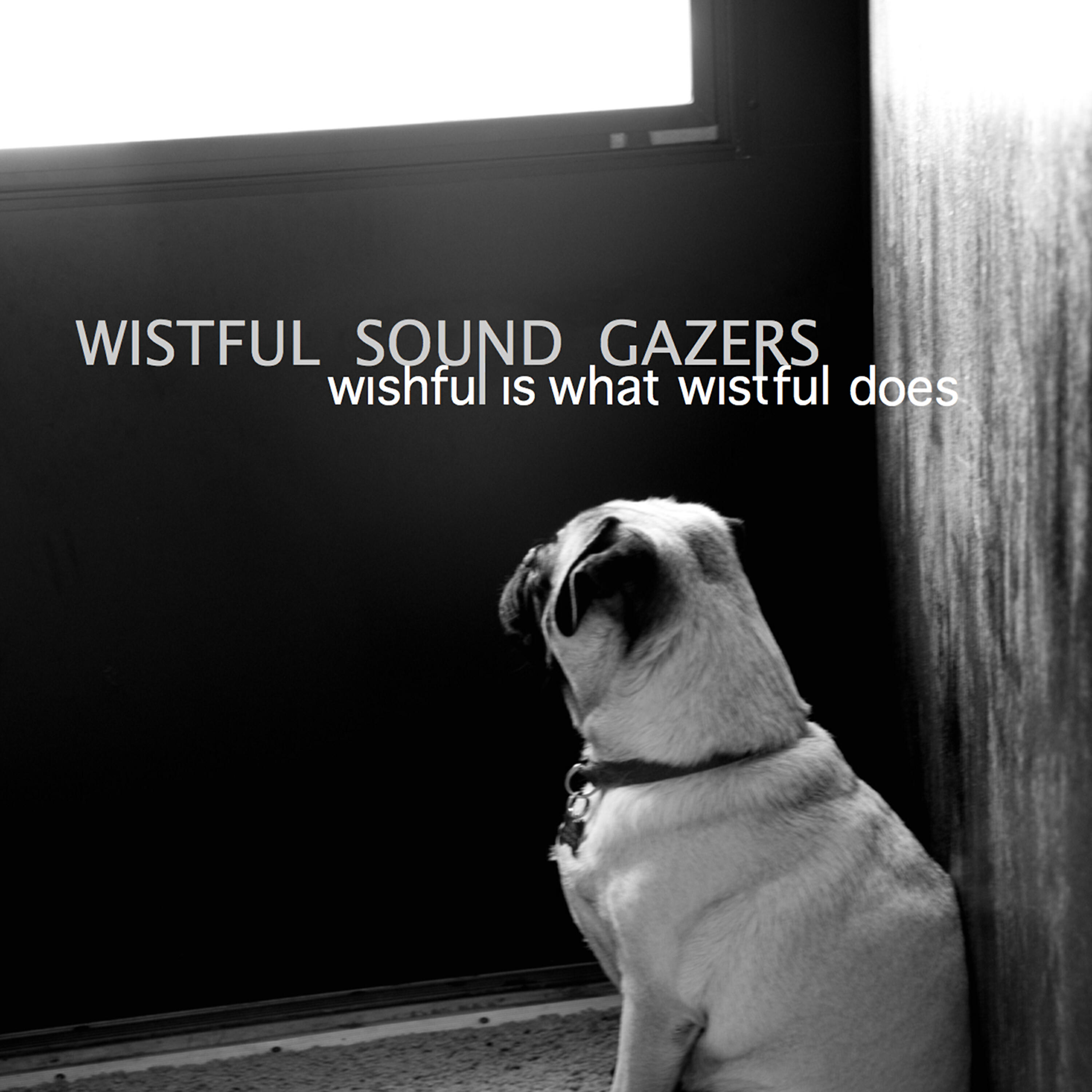 Wistful Sound Gazers