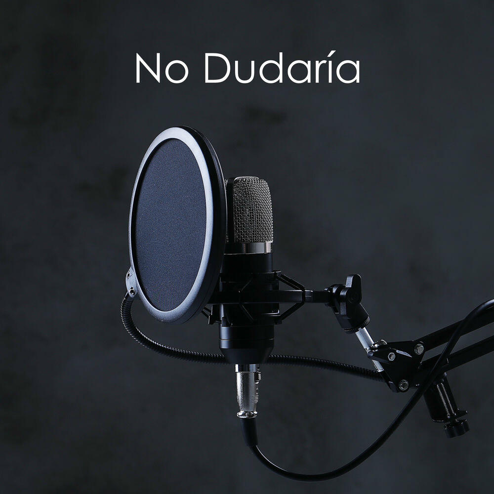 Трек No Dudaría
