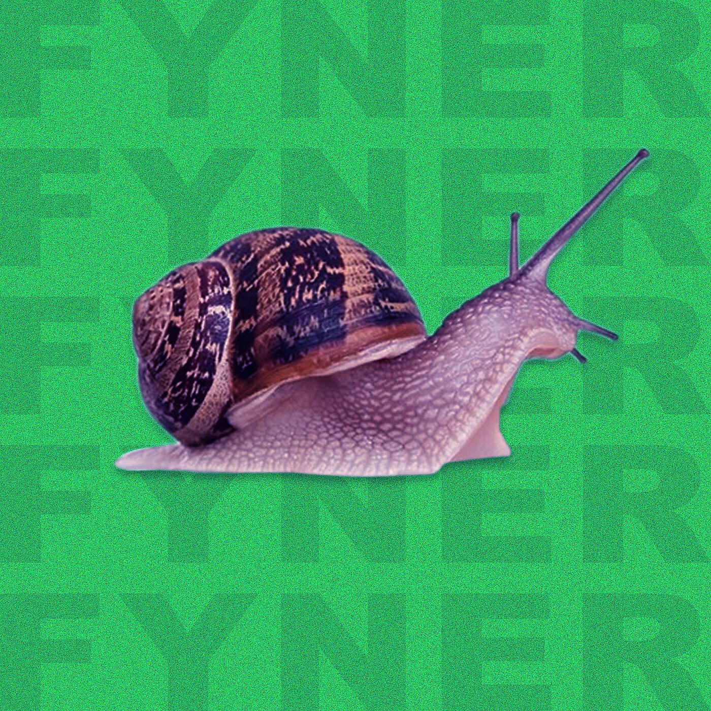 Релиз Doucement
