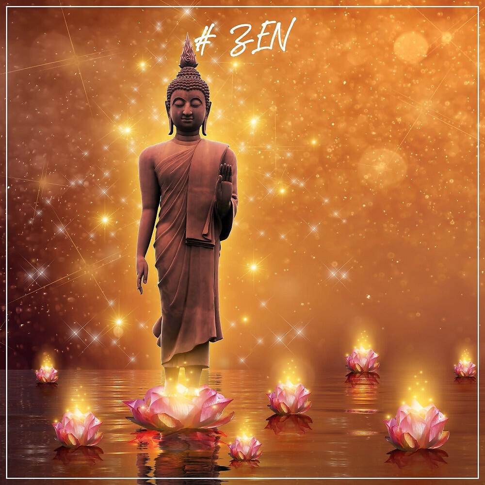 Релиз # Zen