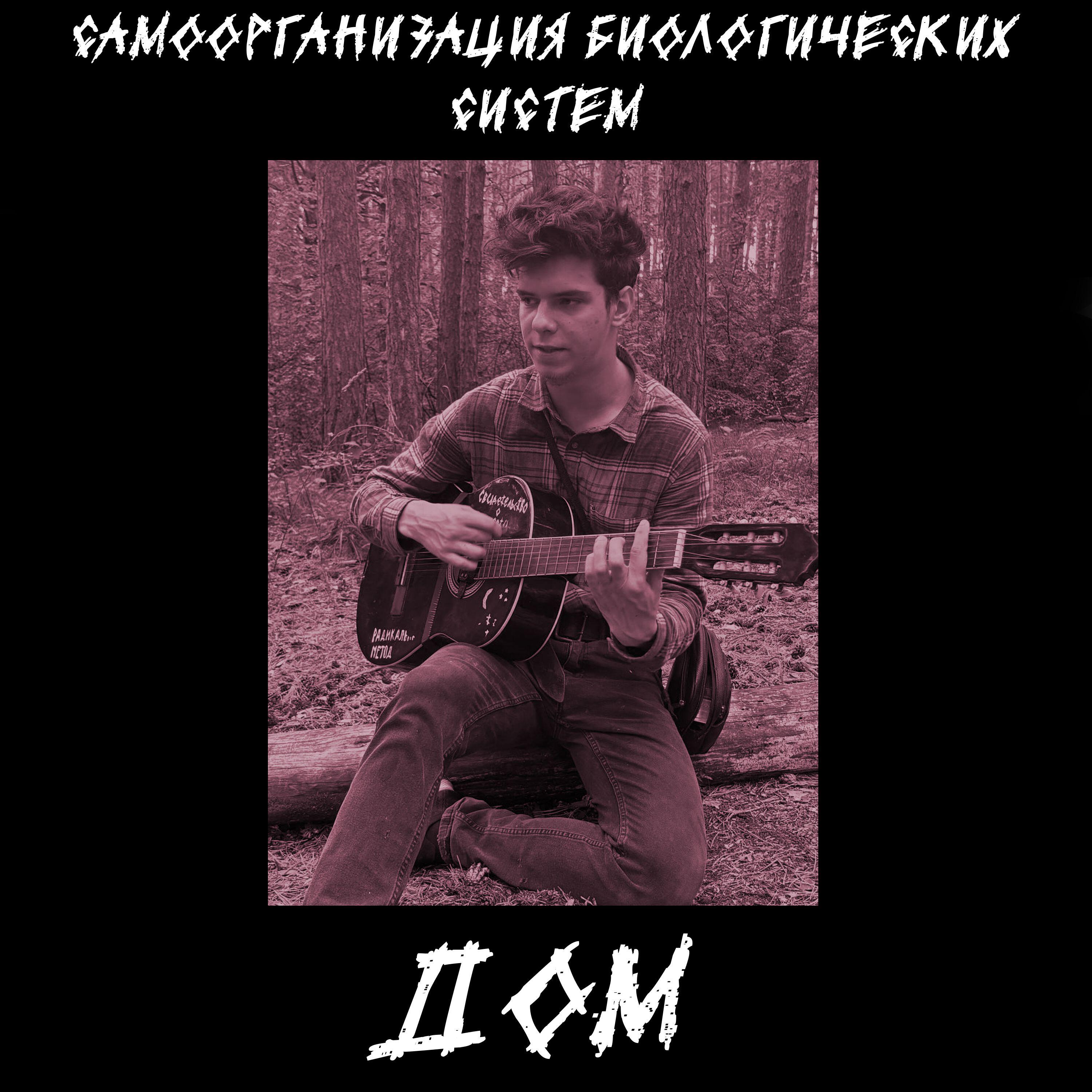 Релиз Дом