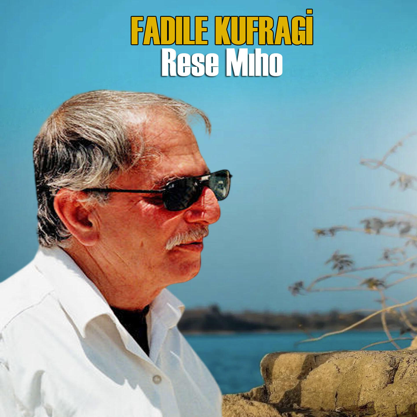 Релиз Rese Mıho