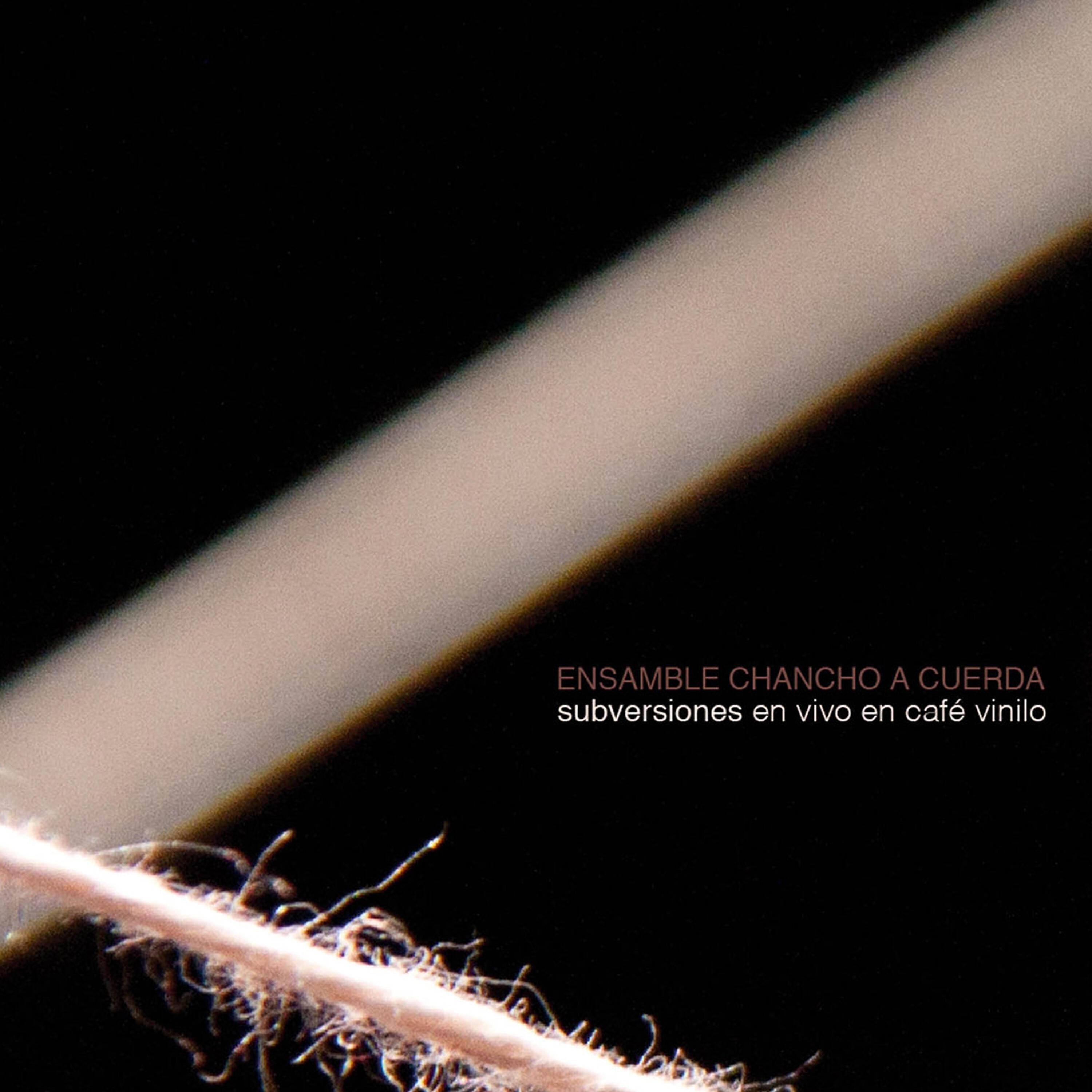 Ensamble Chancho a Cuerda