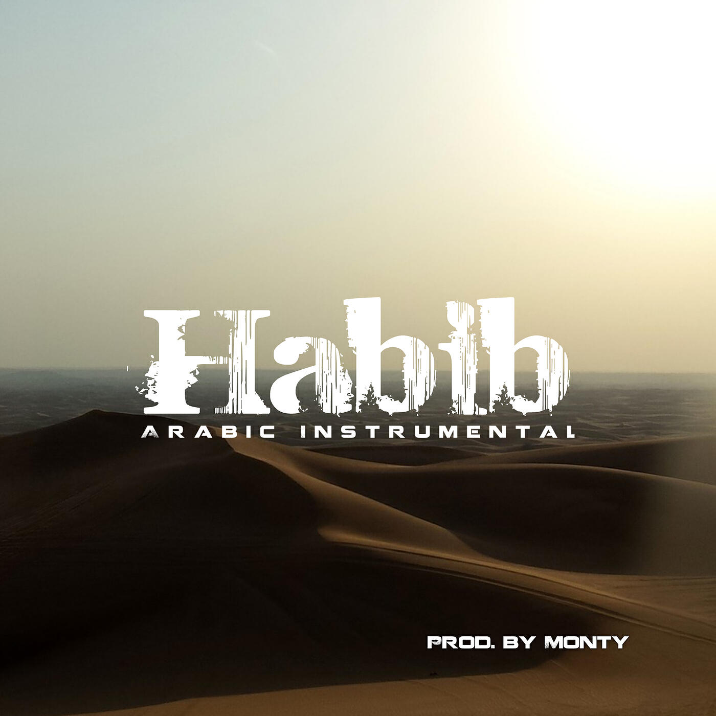Постер альбома Habib (Arabic Instrumental)