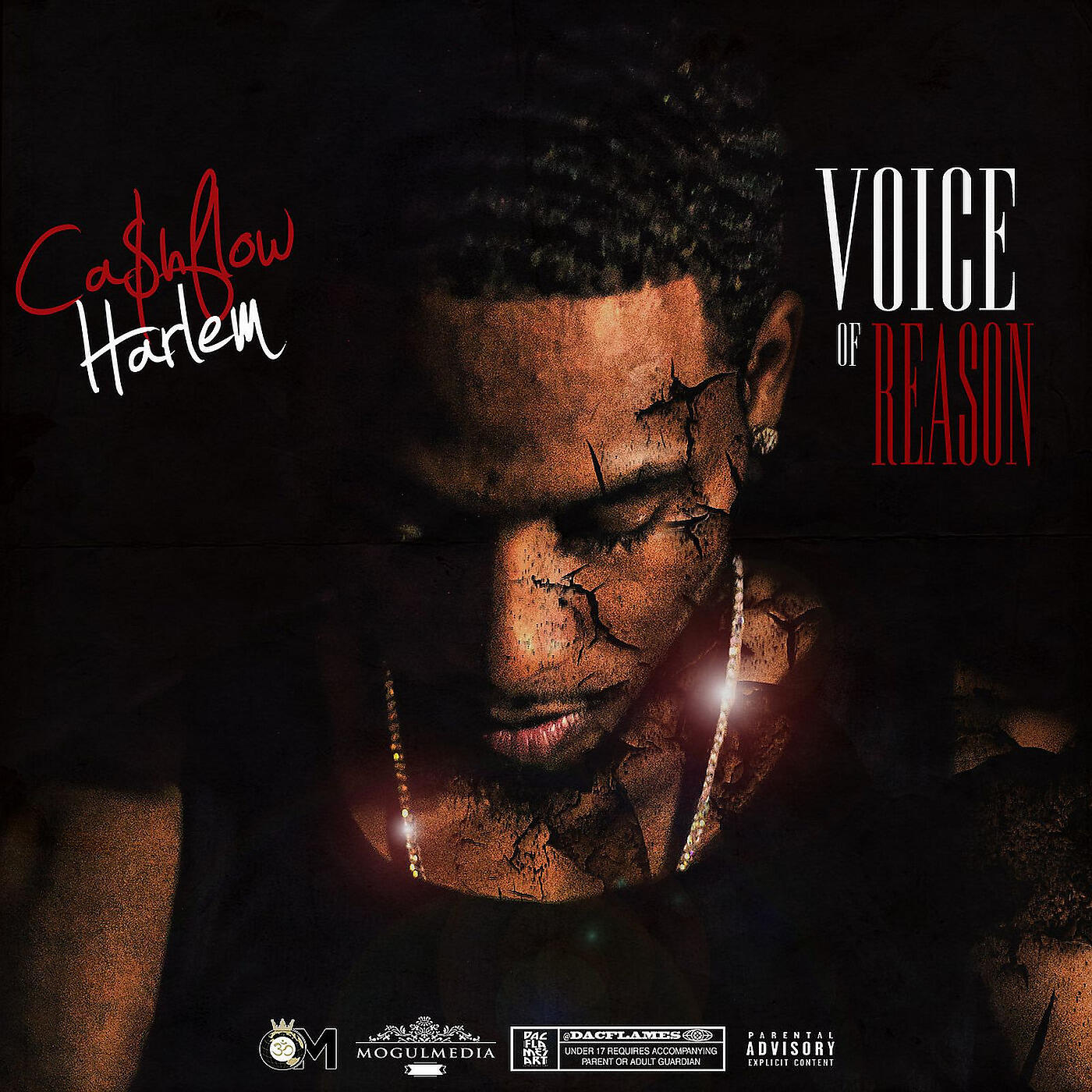 Релиз Voice of Reason