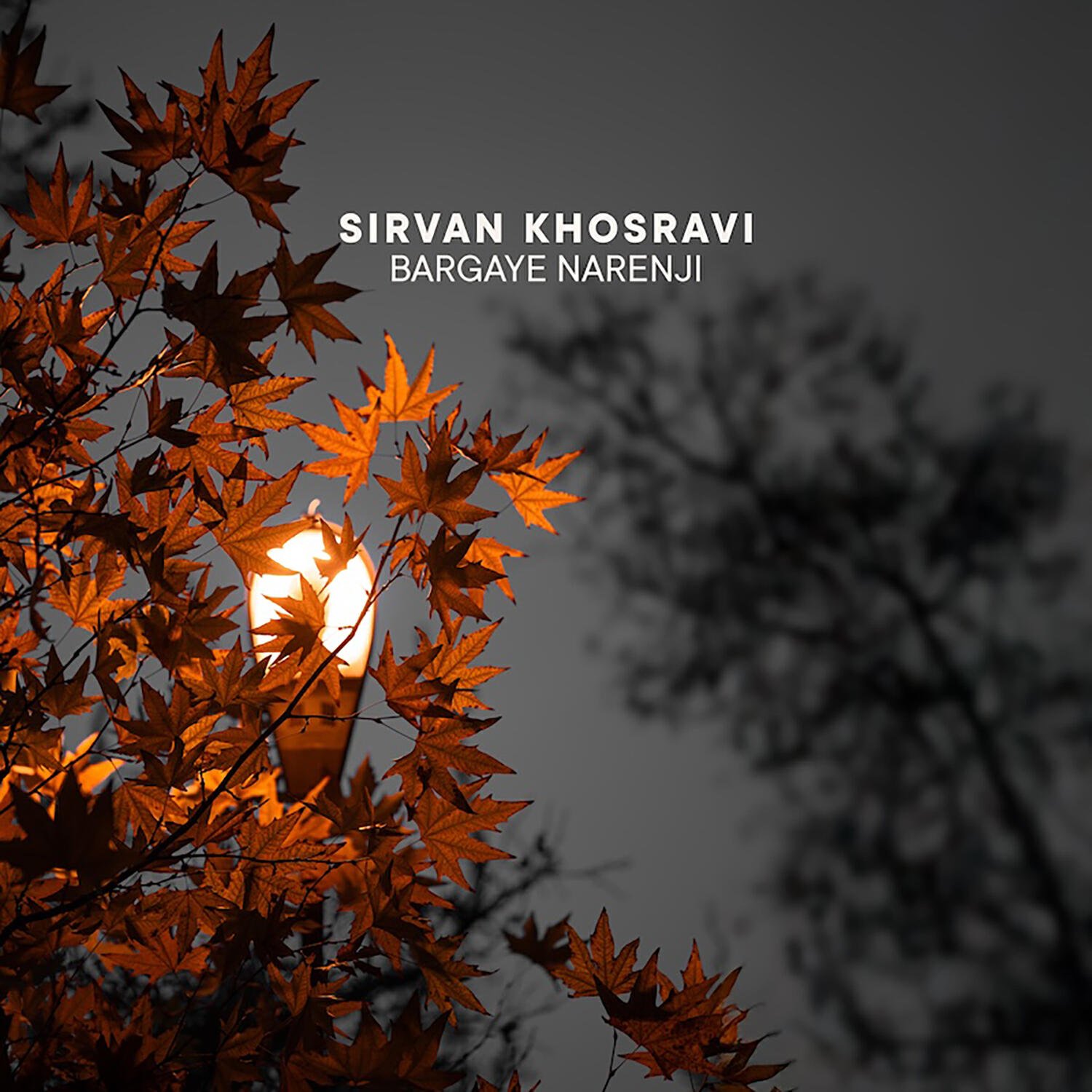 Релиз Bargaye Narenji