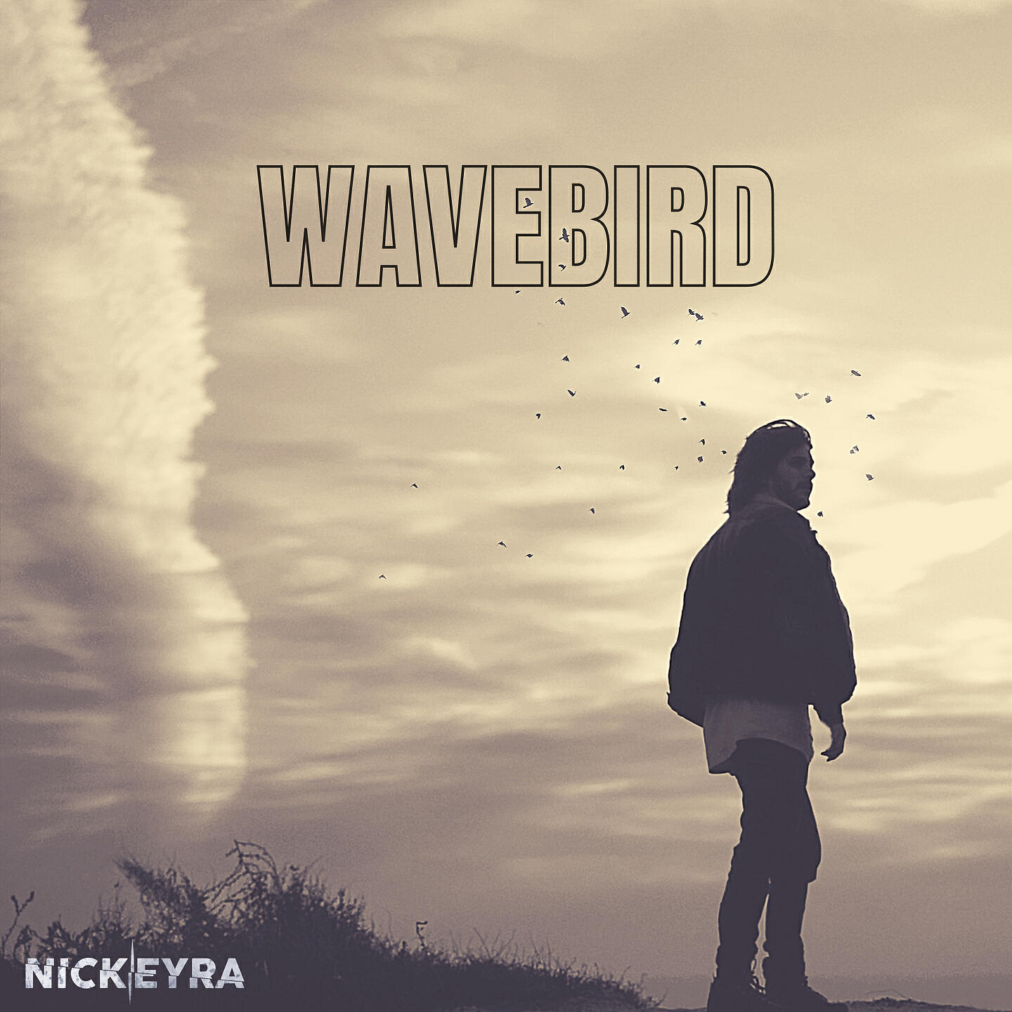 Релиз Wavebird