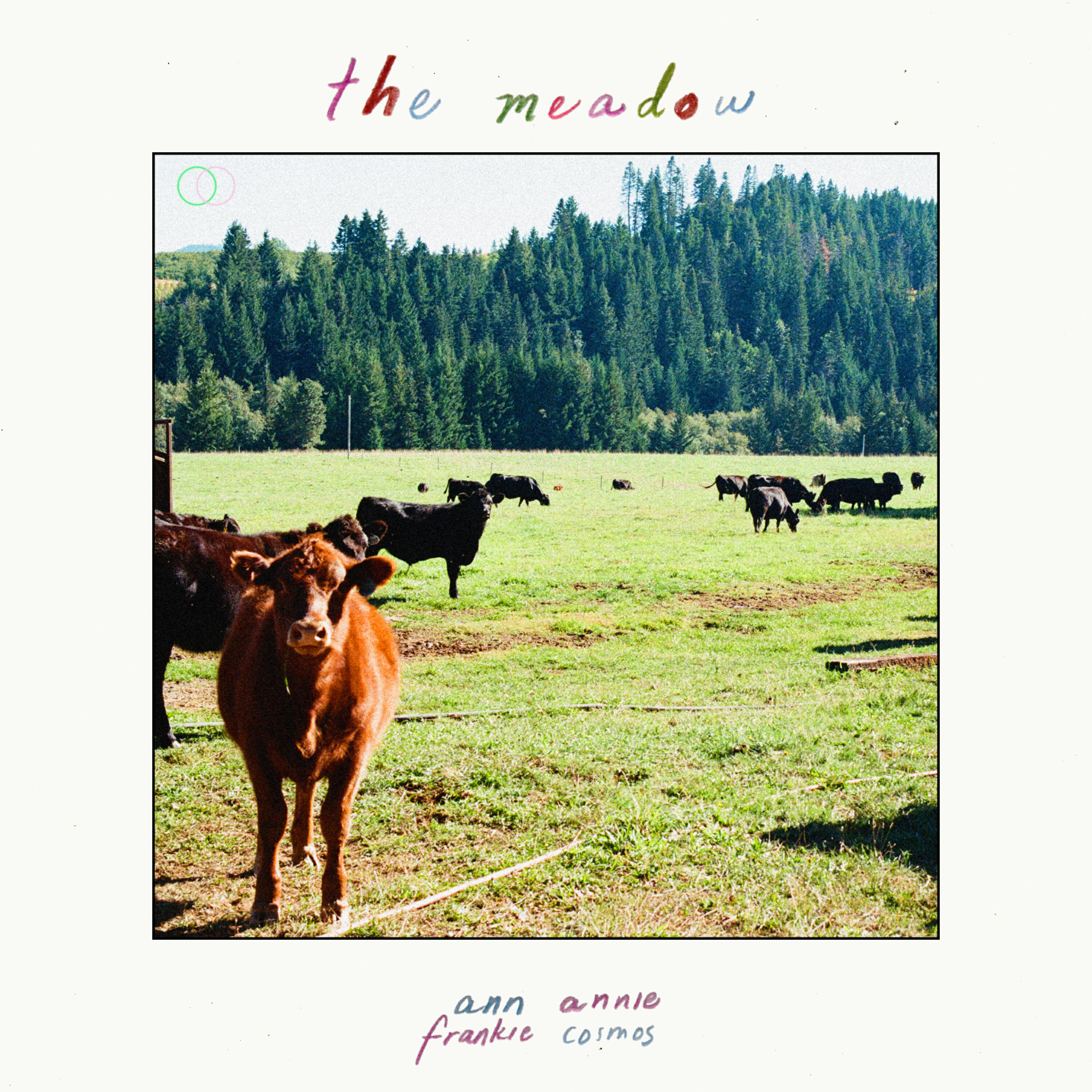 Релиз the meadow