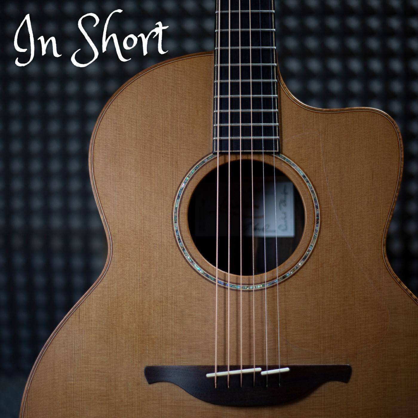 Релиз In Short