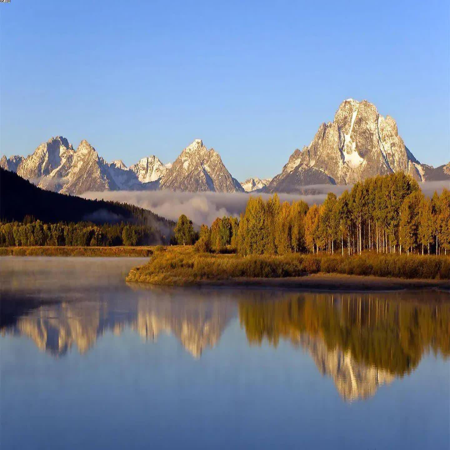 Релиз 单单去疼你