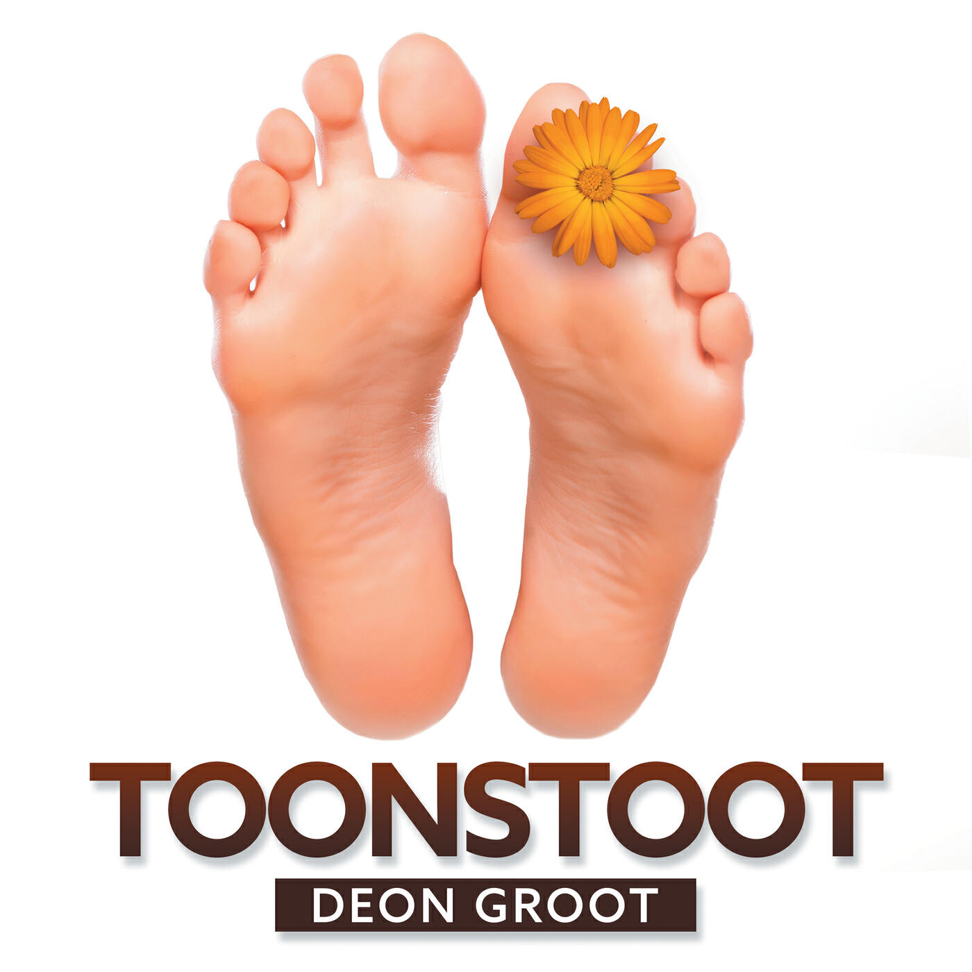 Релиз Toonstoot