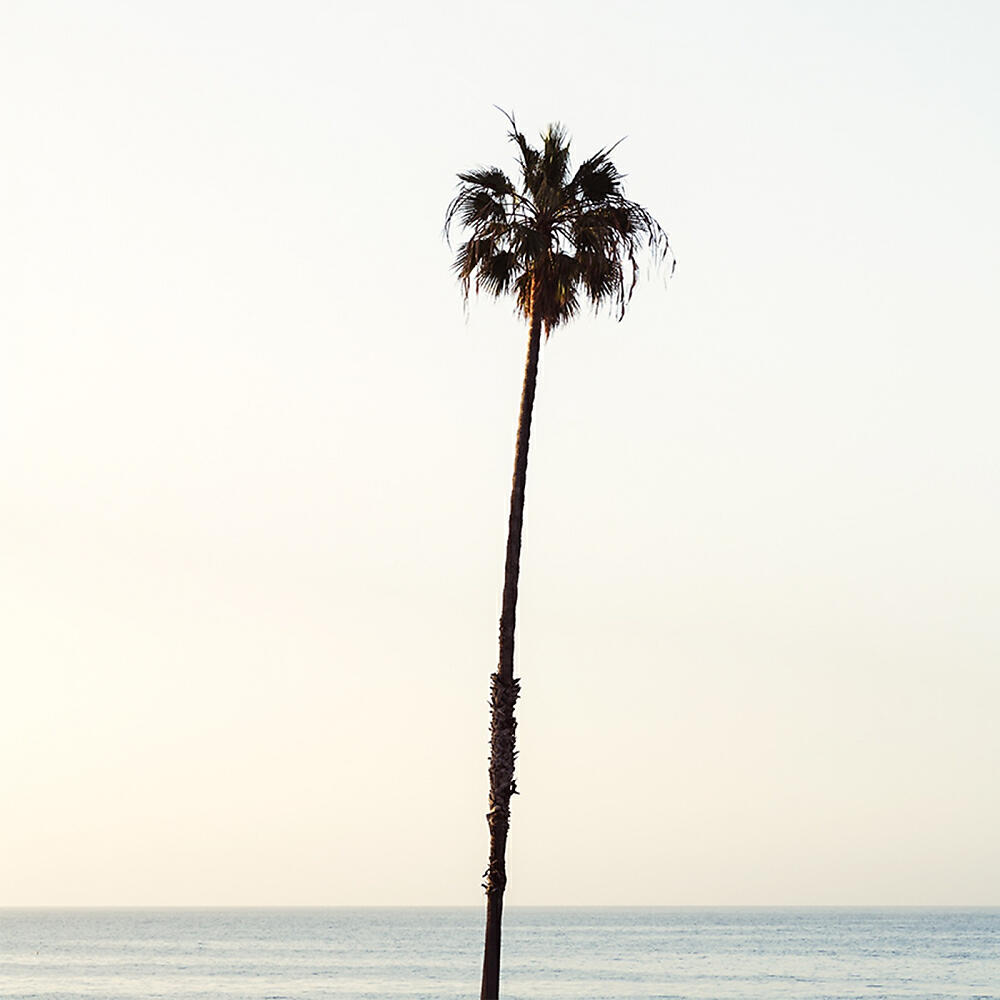 Релиз California