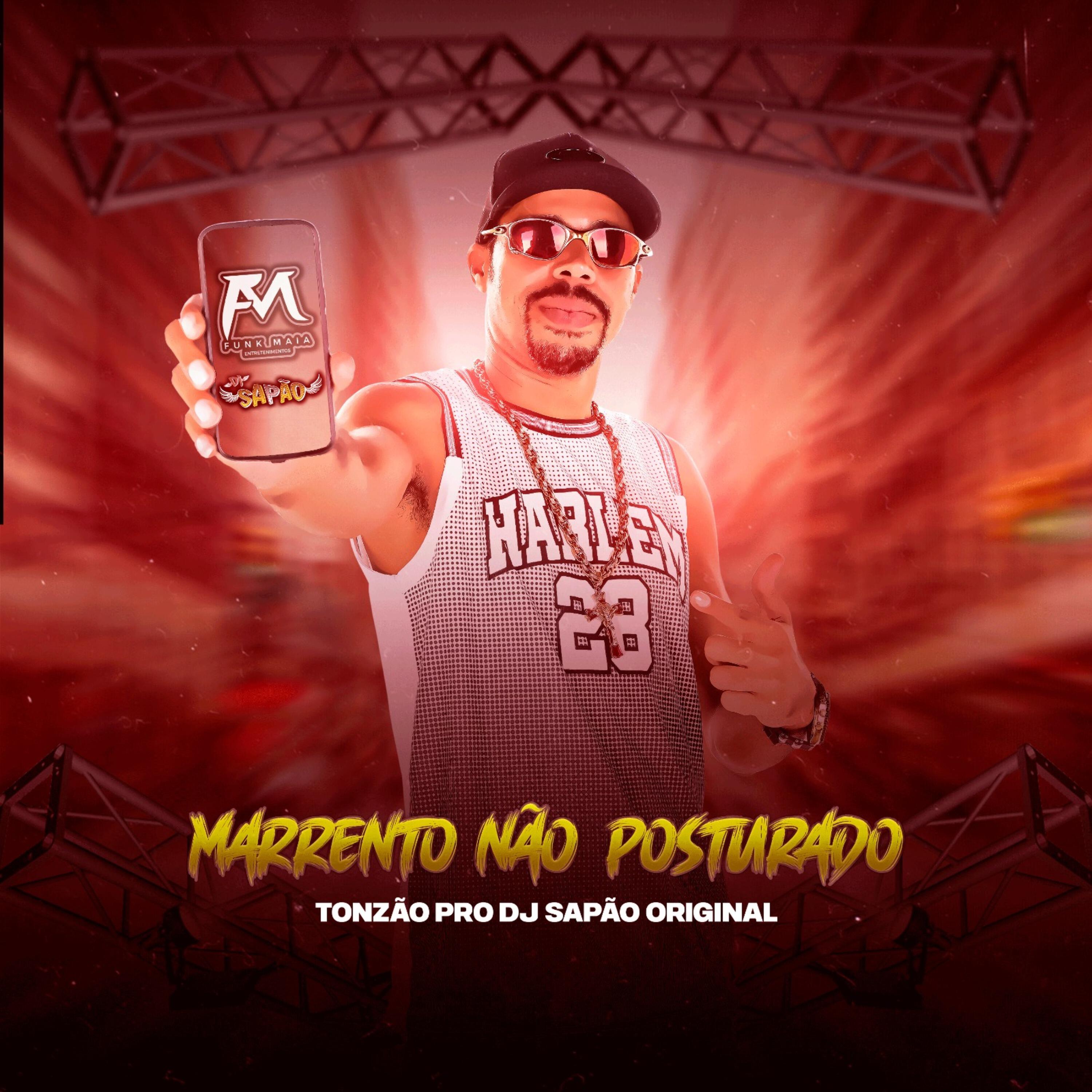 Скачать песню Tonzão, DJ SAPÃO ORIGINAL - Marrento Não Posturado бесплатно в MP3 для Android и iOS
