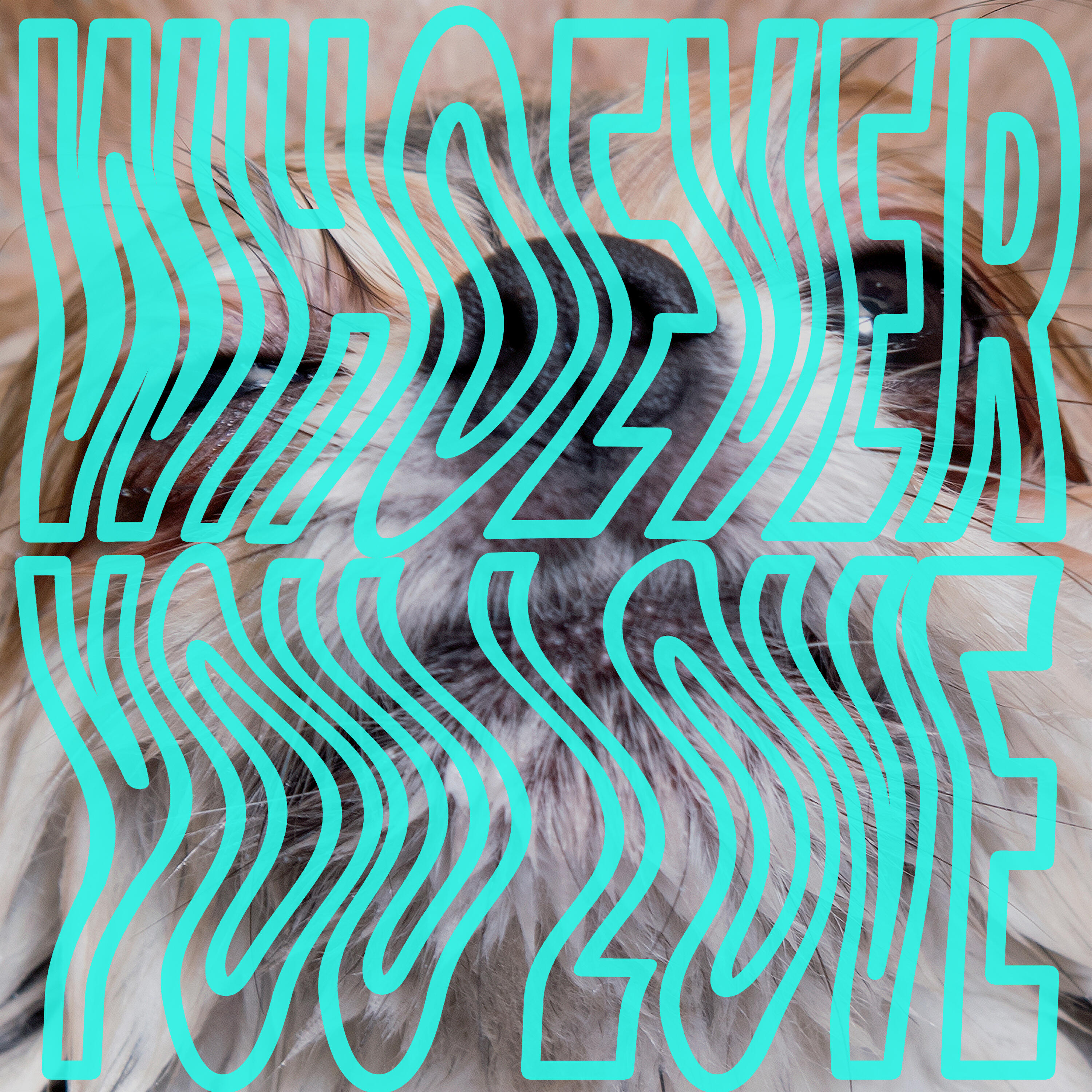 Релиз Whoever You Love
