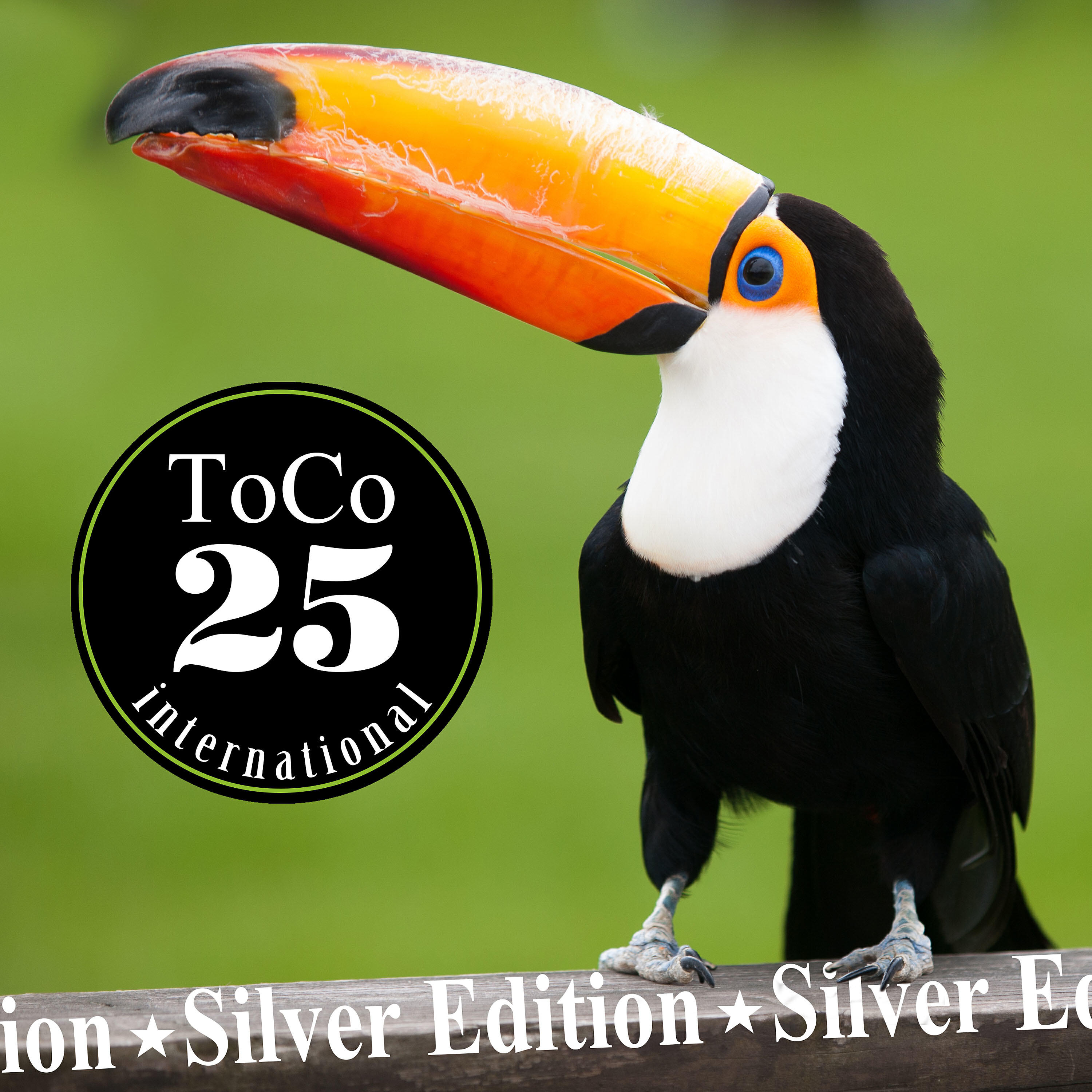 Релиз Toco Silver Edition