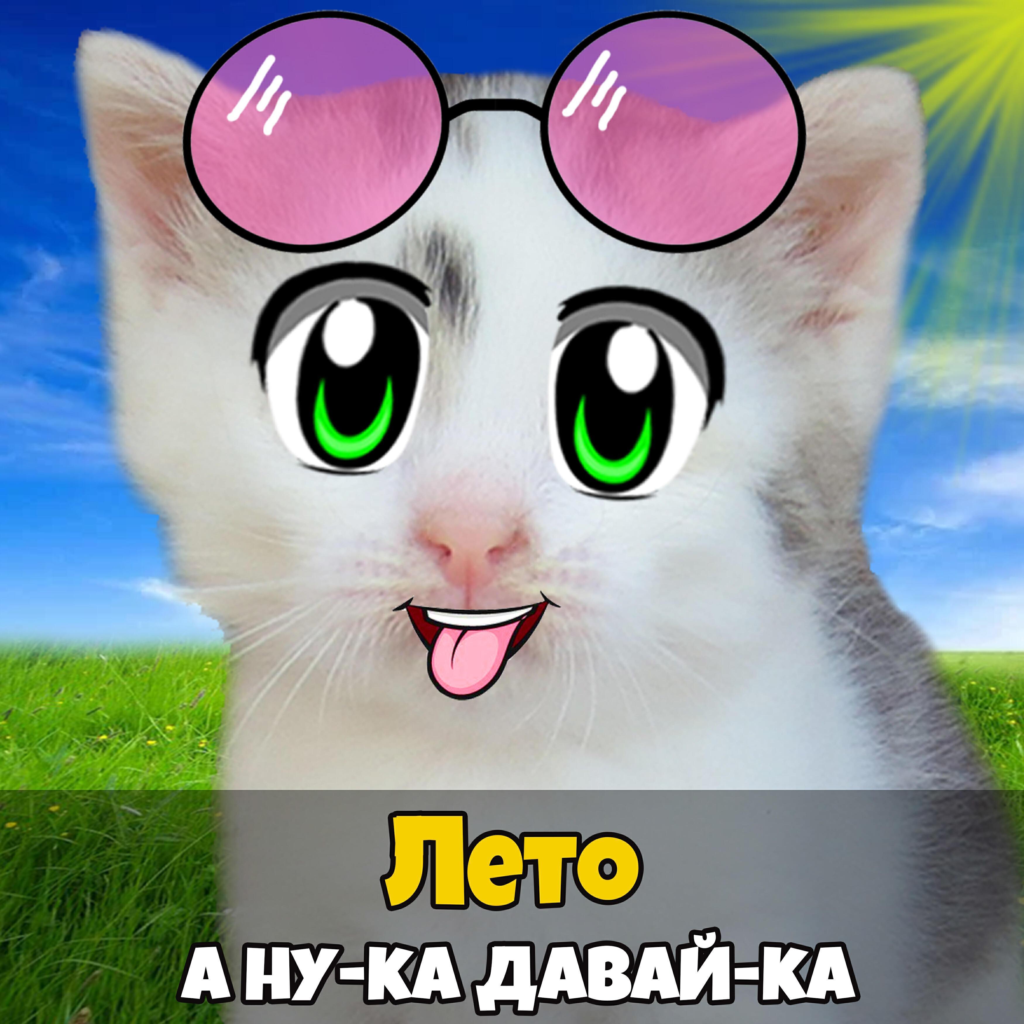 А ну-ка Давай-ка