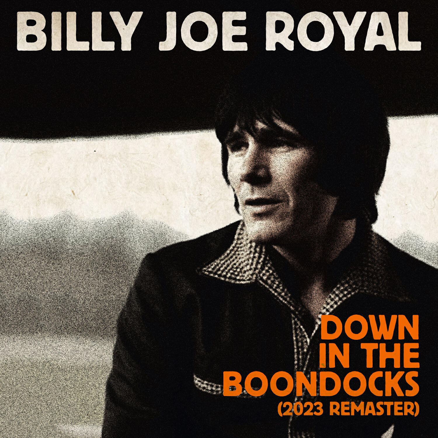 Релиз Down In The Boondocks (Re-Recorded) [2023 Remaster]