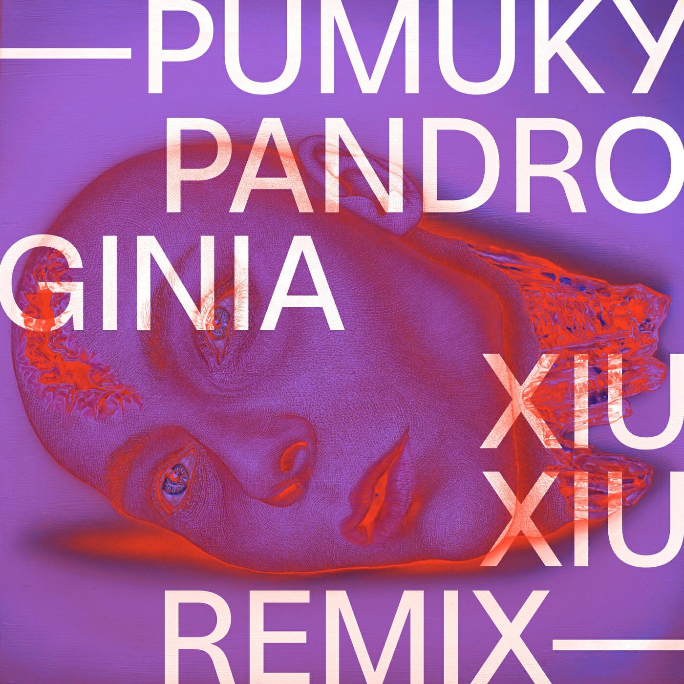 Релиз Pandroginia (Xiu Xiu Remix)