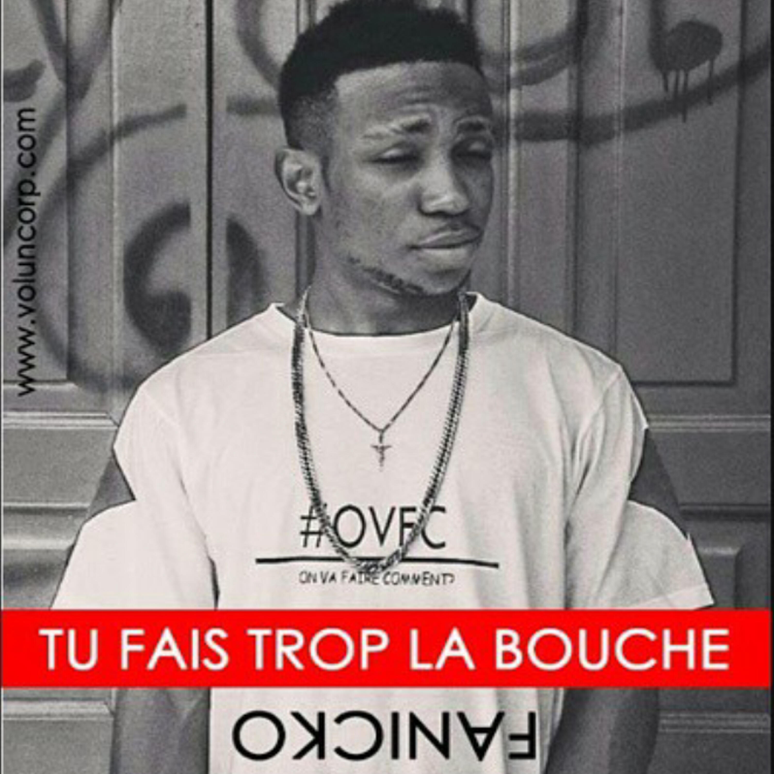 Релиз Tu fais trop la bouche