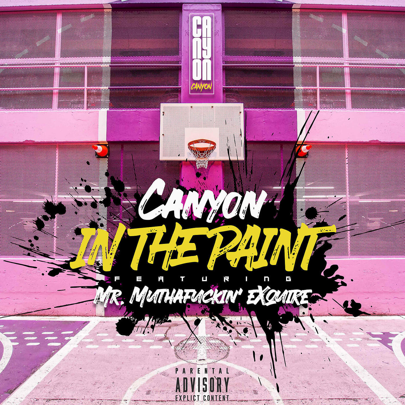 Релиз IN THE PAINT