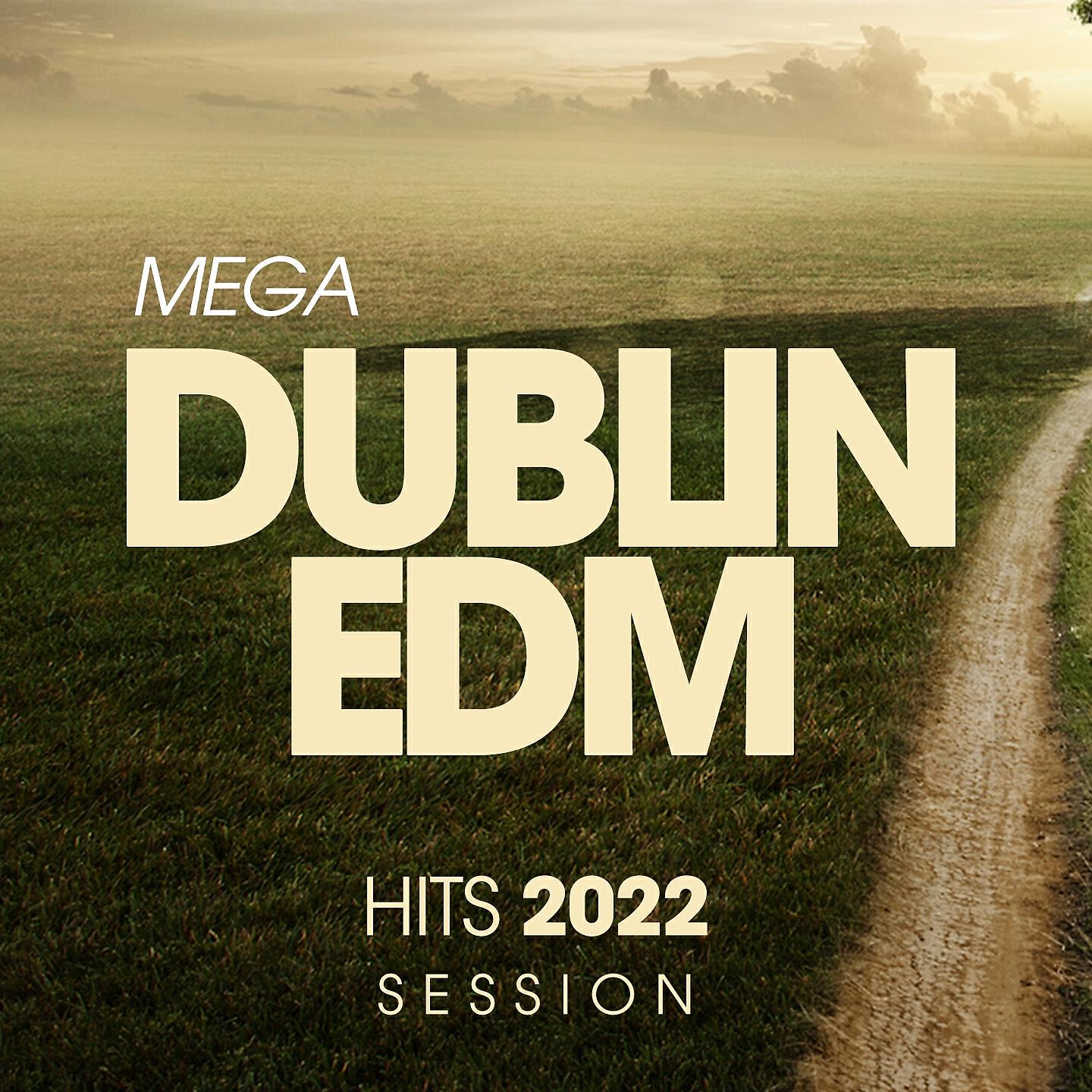 Релиз Mega Dublin Edm Hits 2022 Session