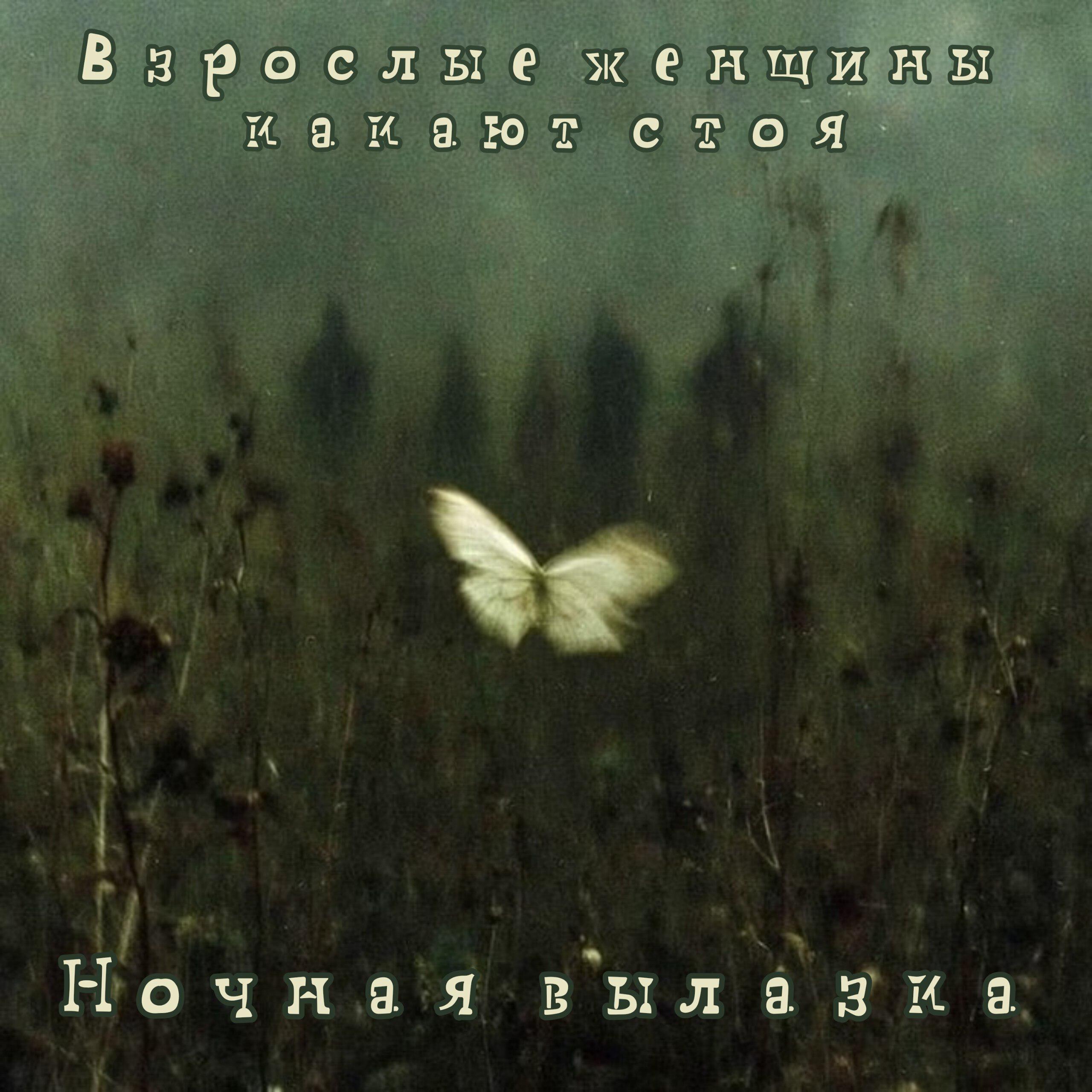 Релиз Ночная вылазка