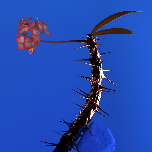 Релиз Skin Companion EP II