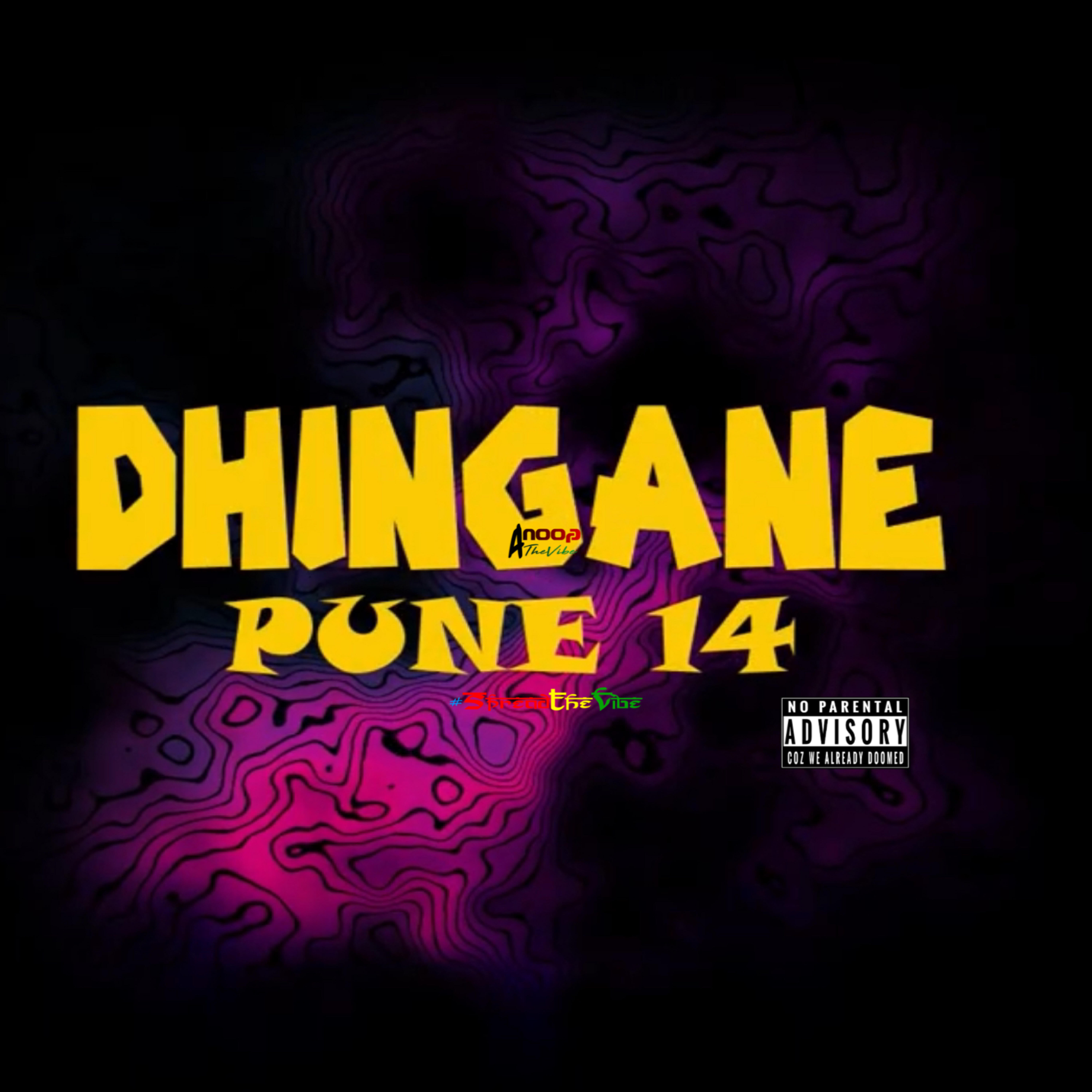 Релиз DHINGANE PUNE 14