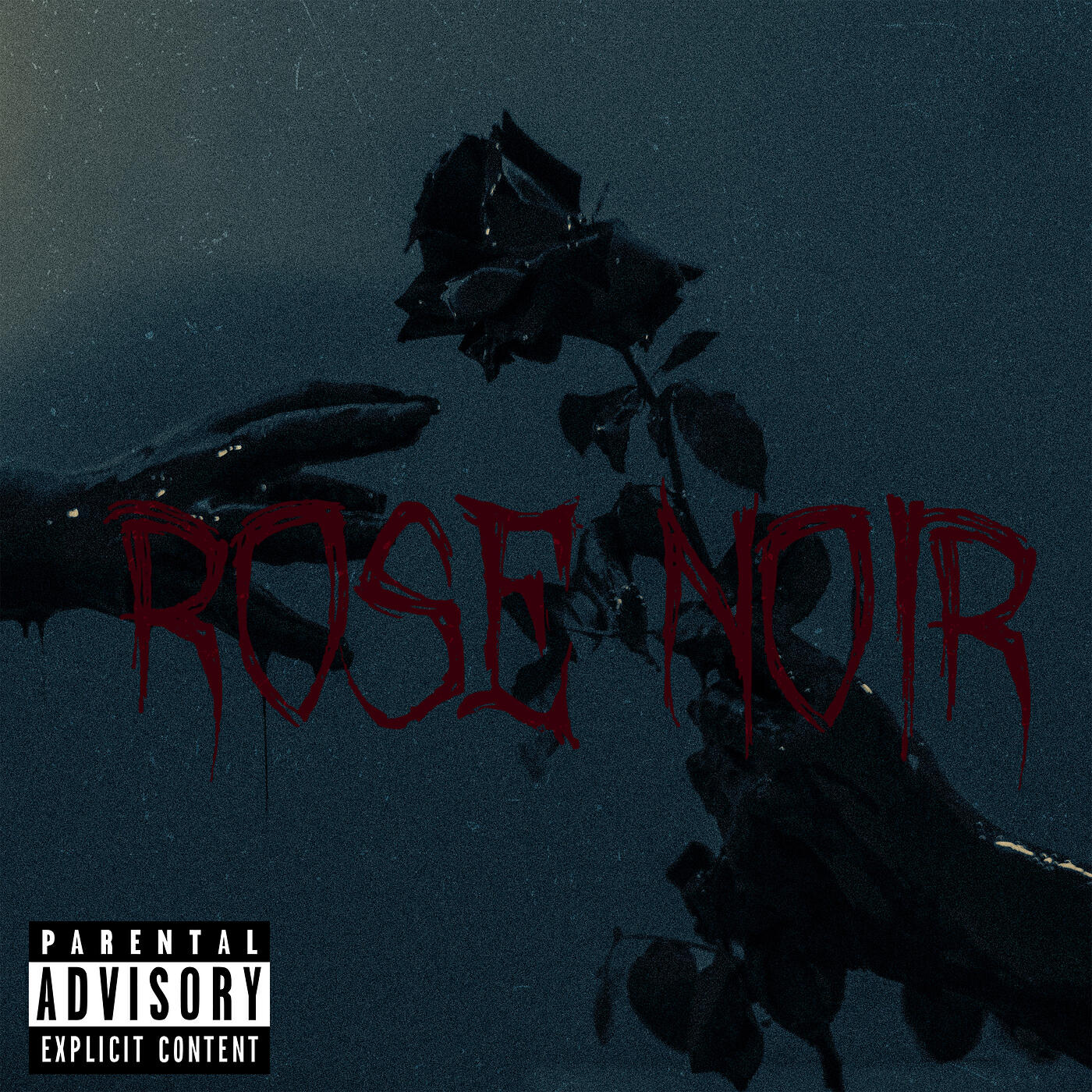 Релиз ROSE NOIR