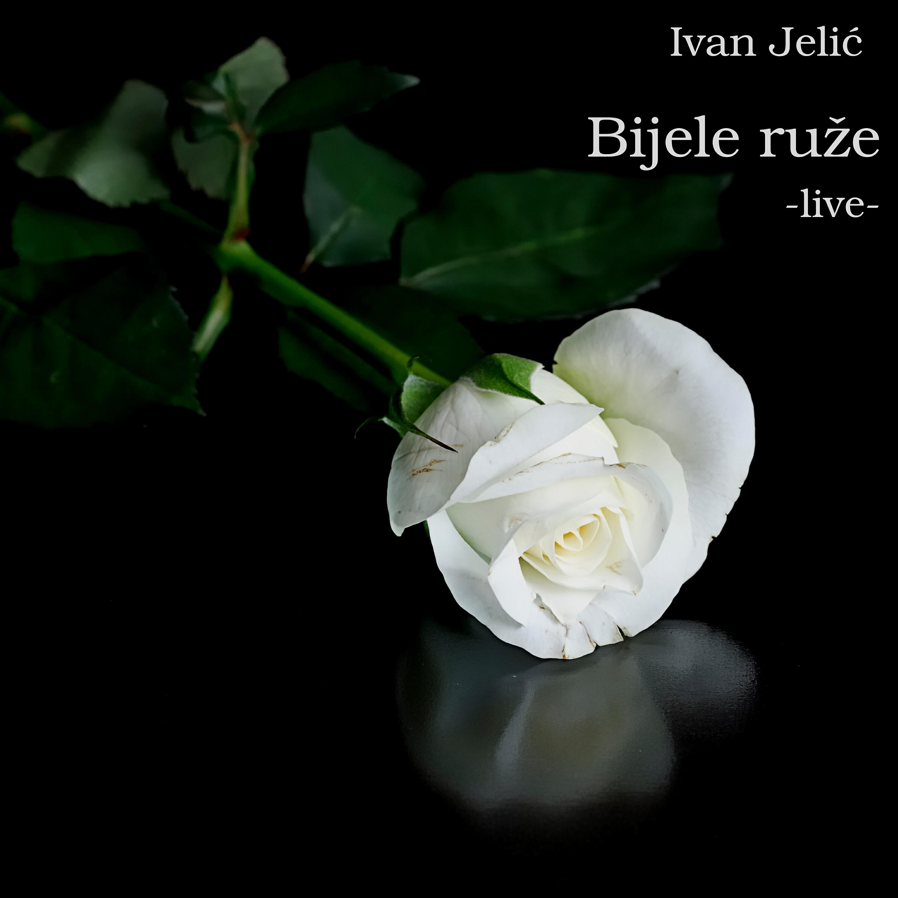 Релиз Bijele ruže