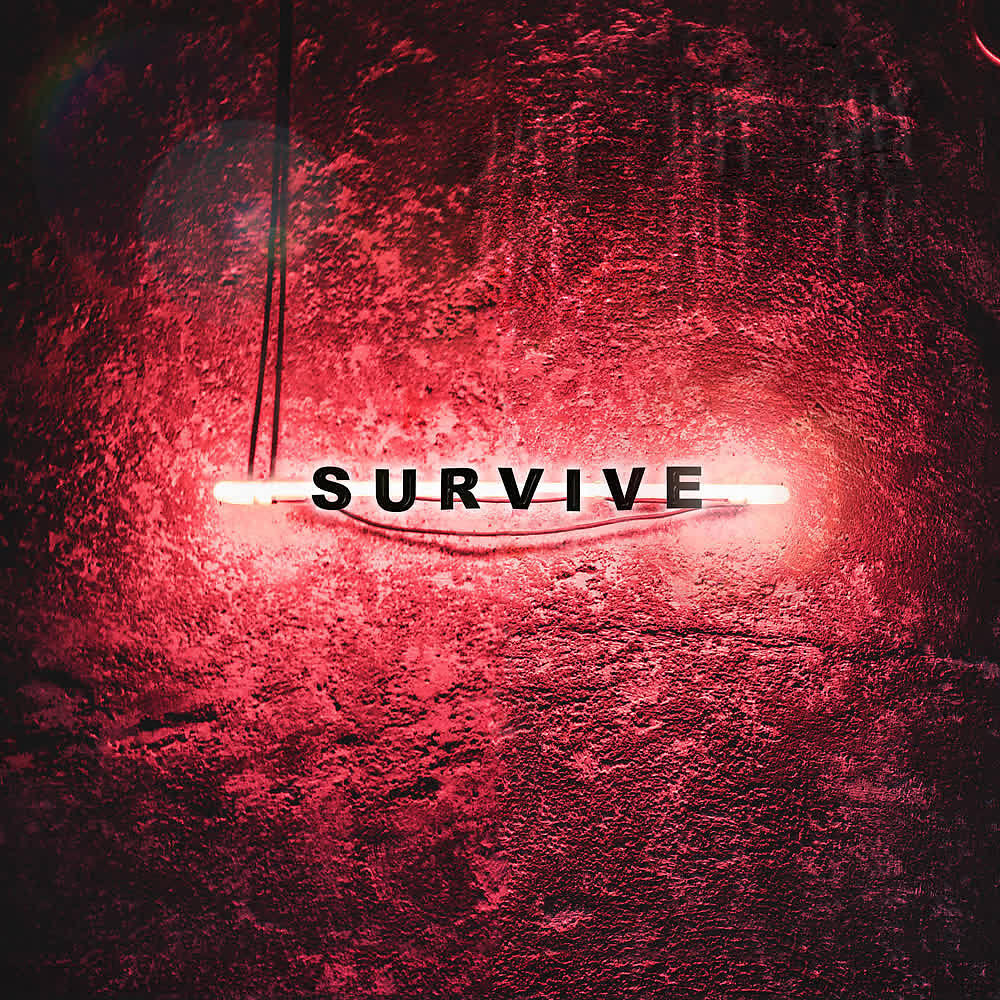 Релиз Survive