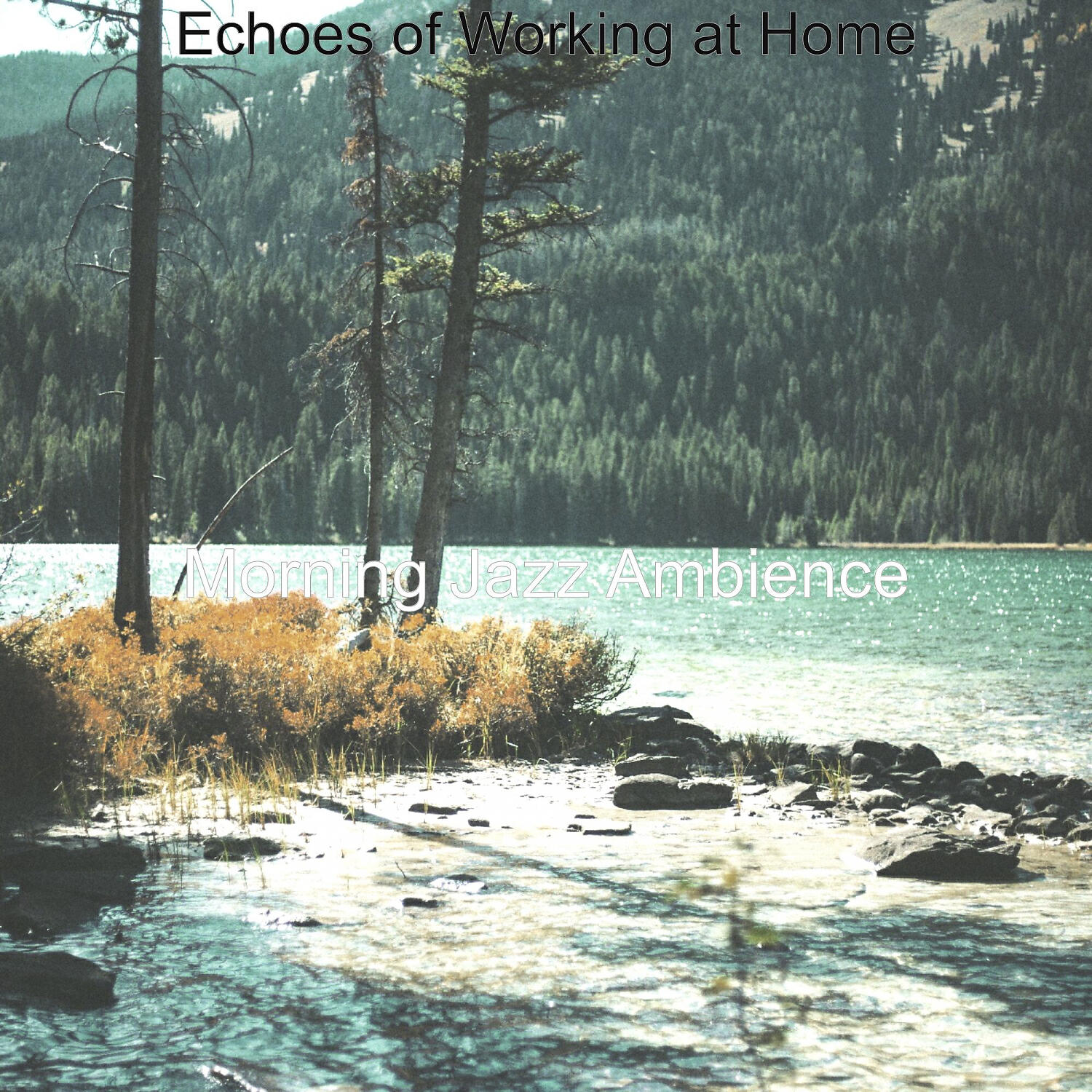 Релиз Echoes of Working at Home