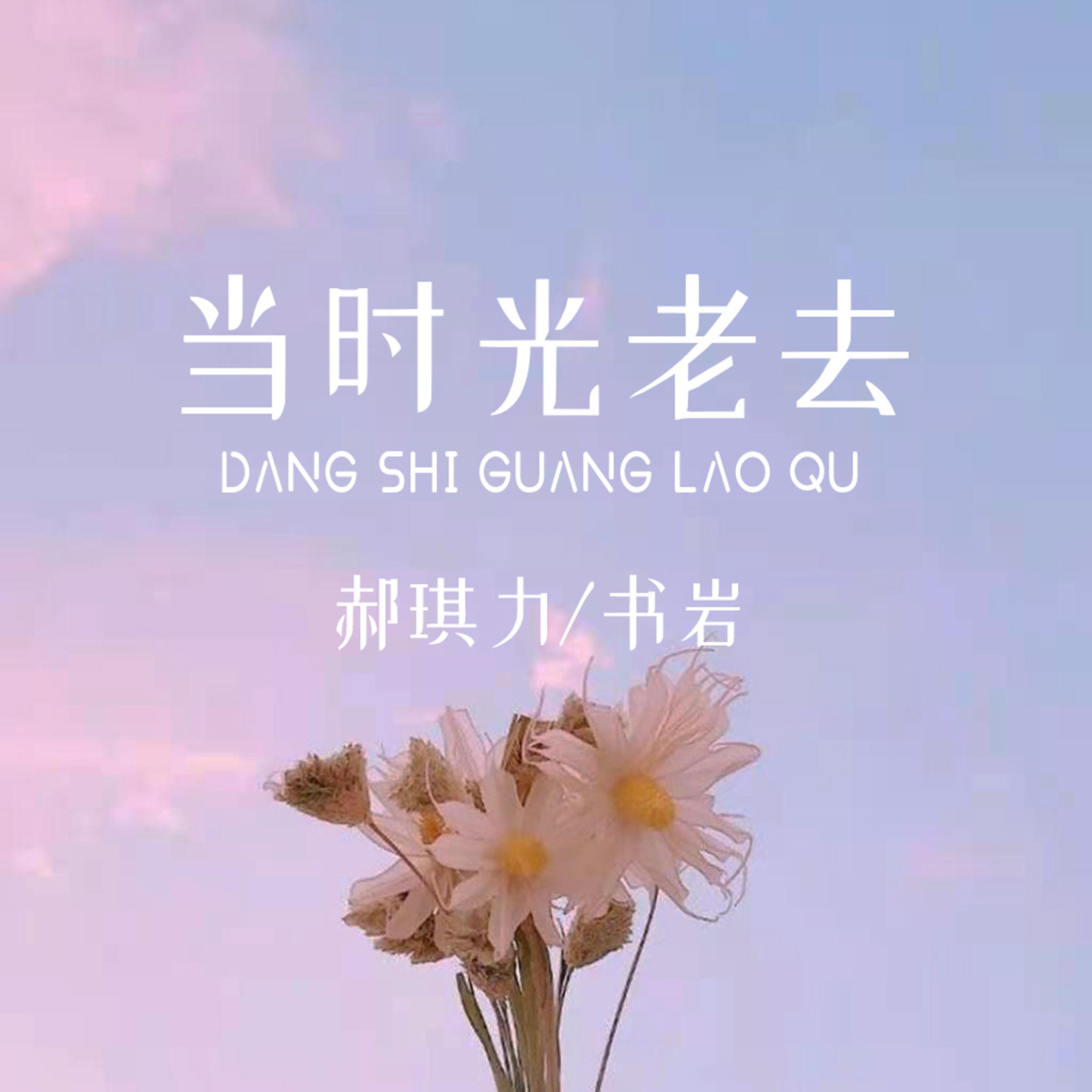 Релиз 当时光老去