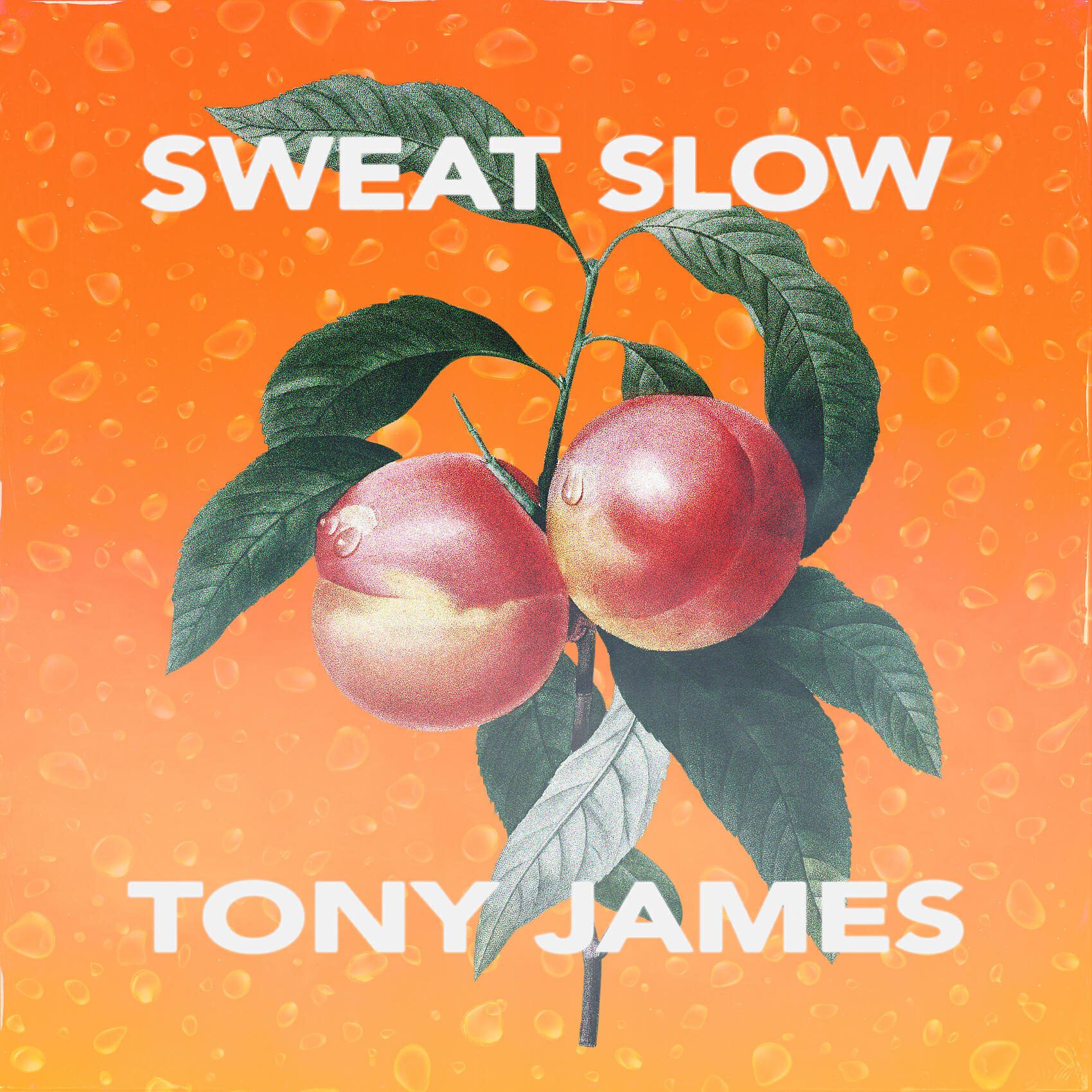 Релиз Sweat Slow
