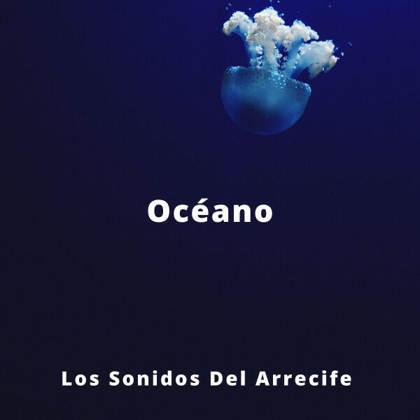 Релиз Océano: Los Sonidos Del Arrecife
