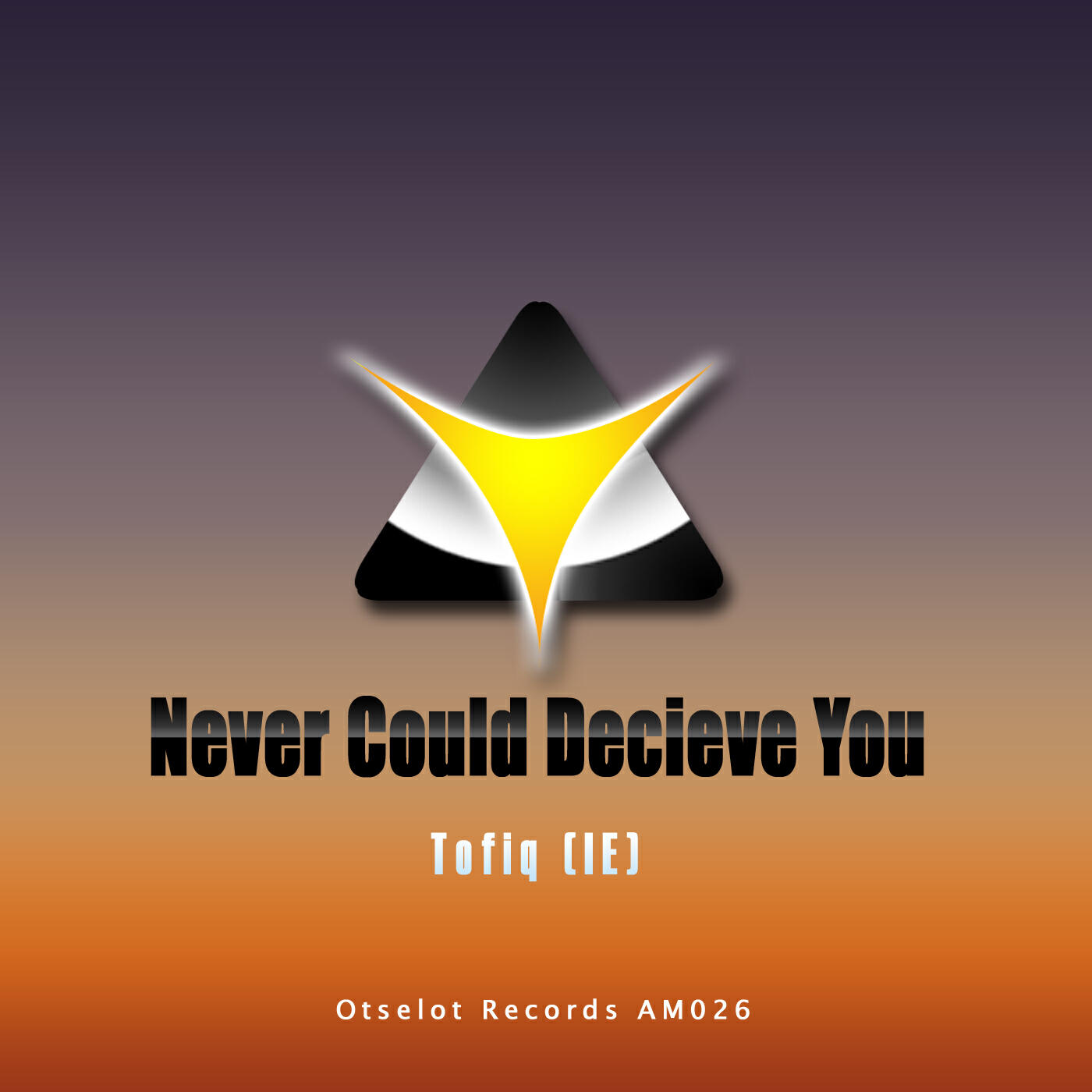Релиз Never Could Decieve You