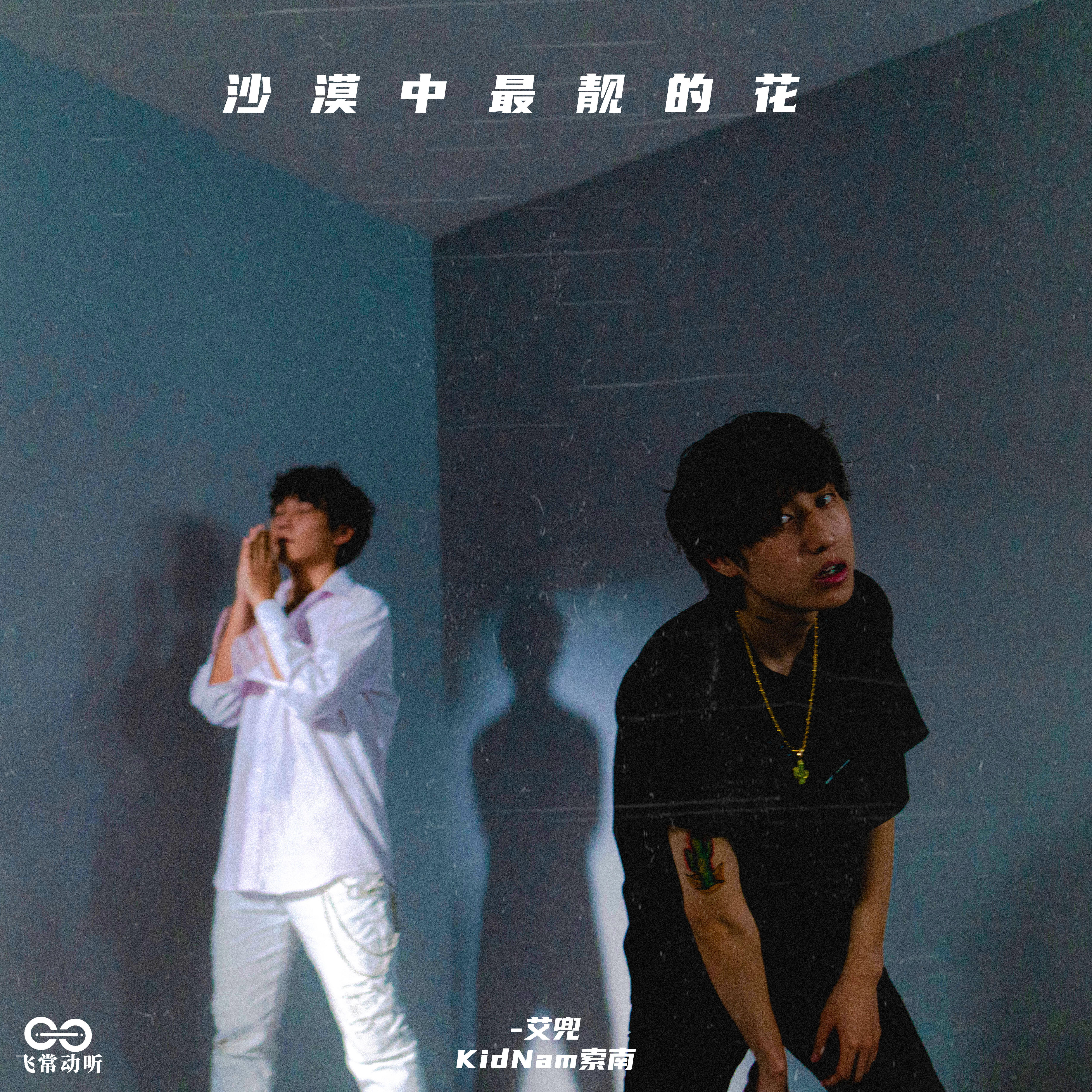 Релиз 沙漠中最靓的花