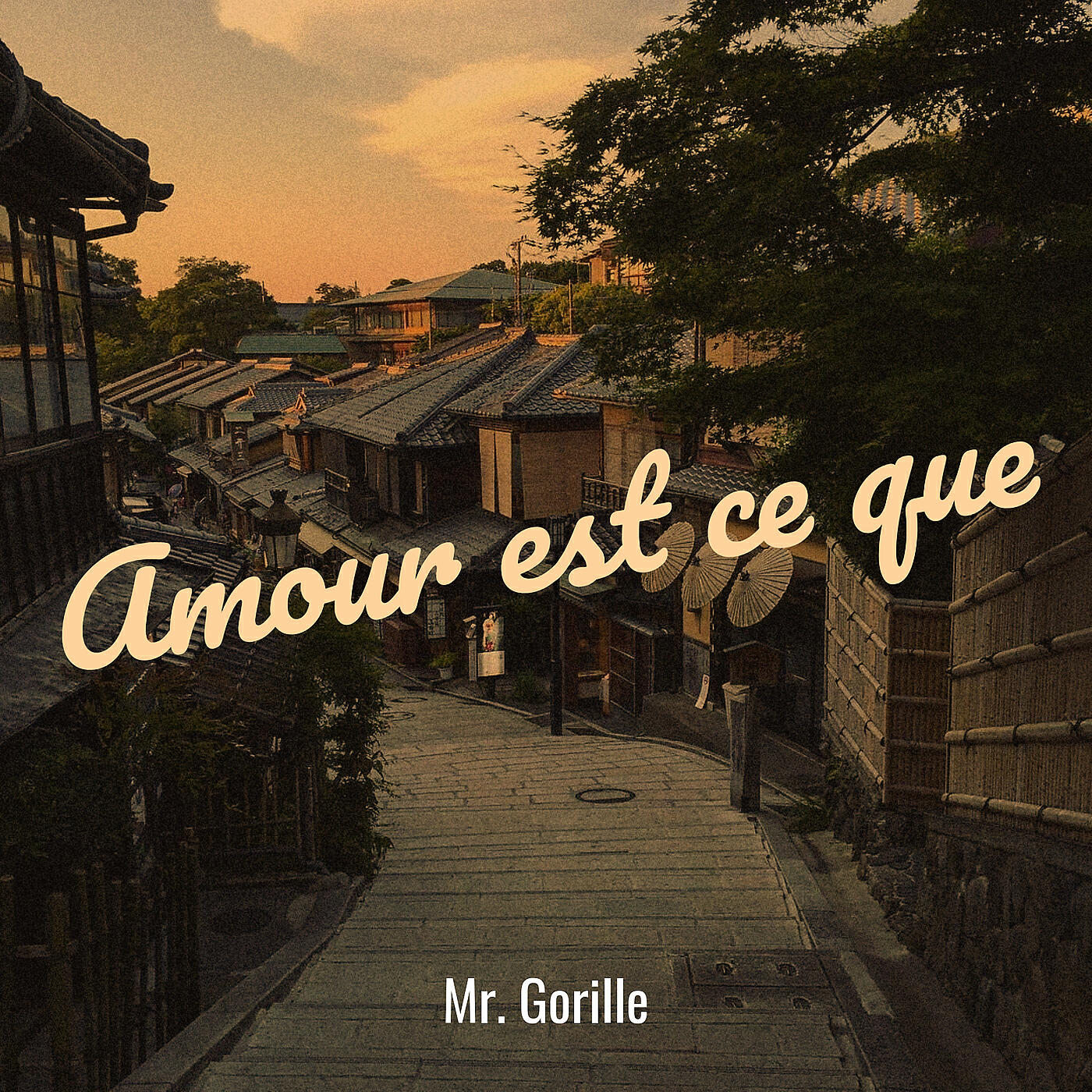 Mr. Gorille