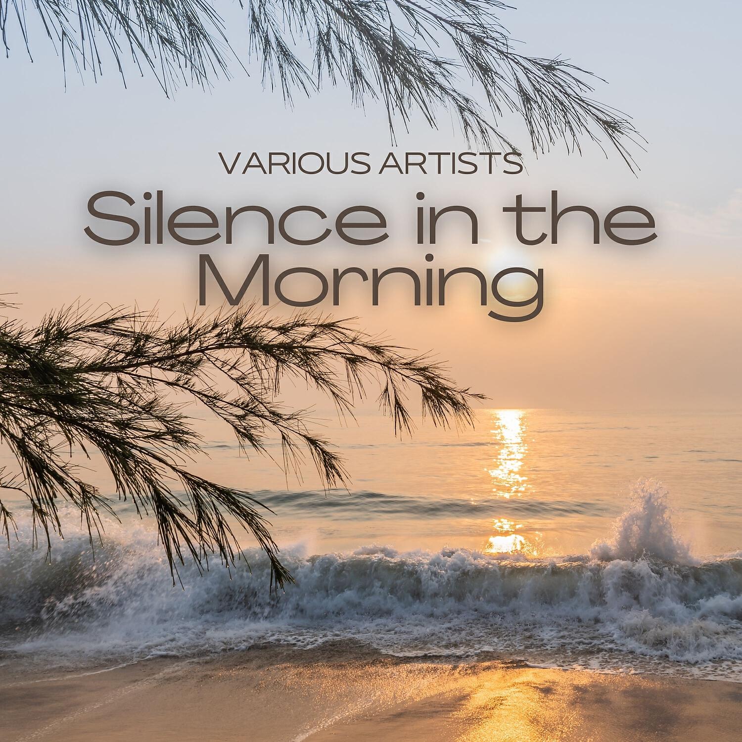 Постер альбома Silence in the Morning