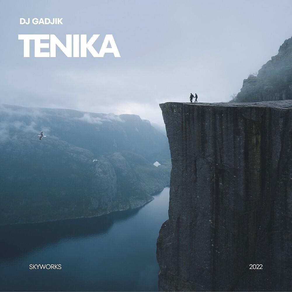 Релиз Tenika
