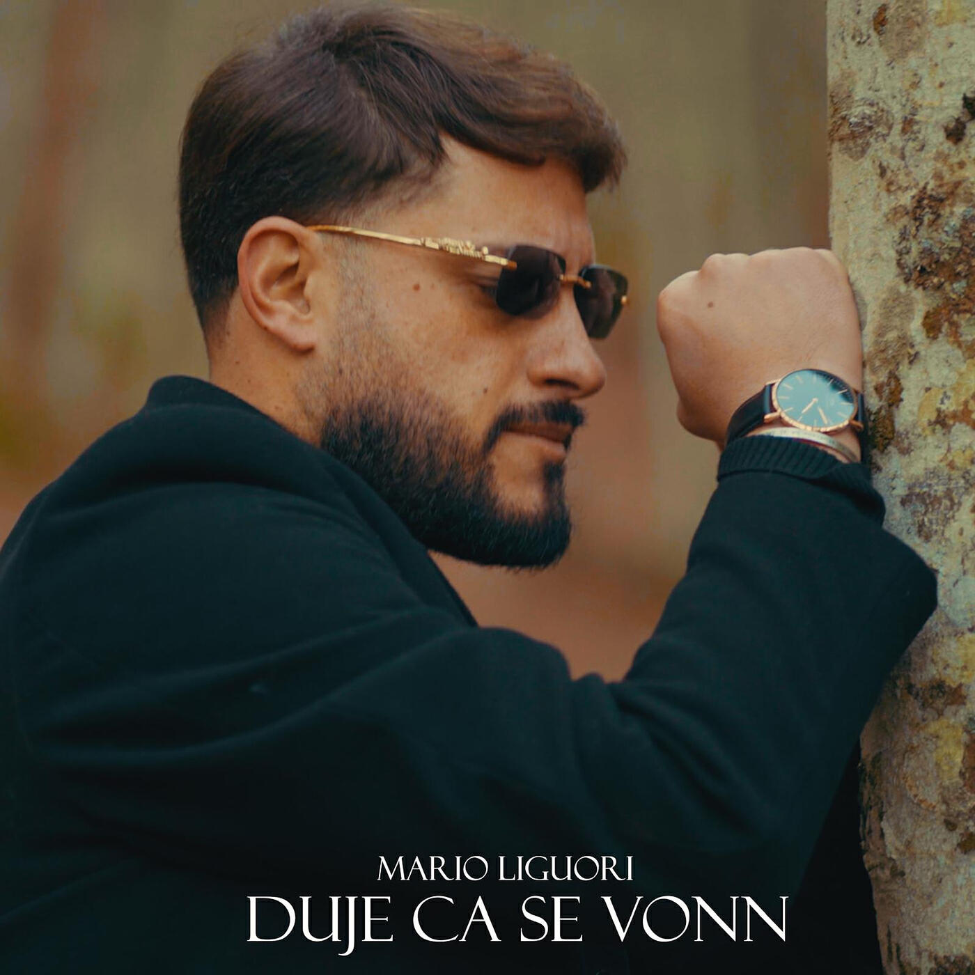 Релиз Duje ca se vonn